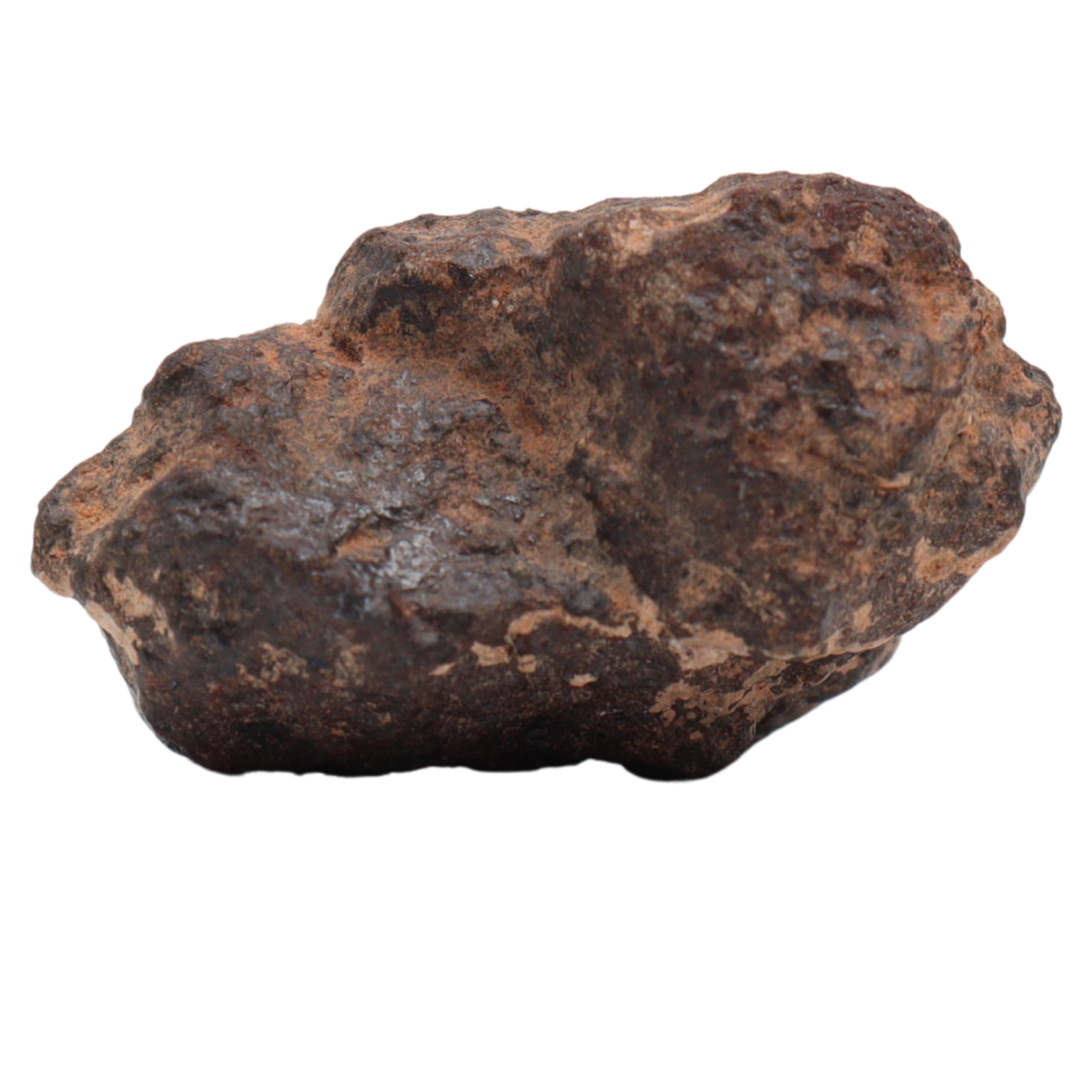 Rafsa 007 Meteorite Plutonic Angrite (13 g). - MBS meteorite 