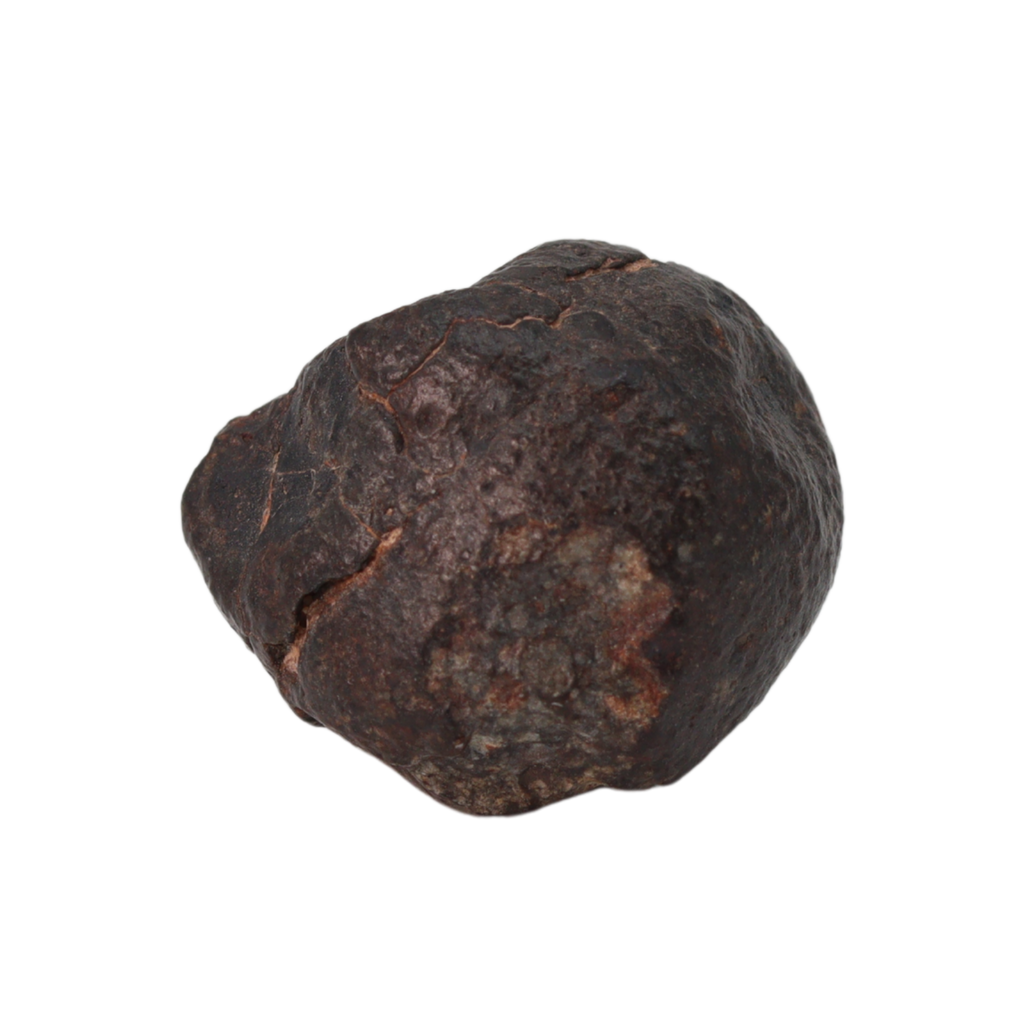 NWA 869 Meteorite Ordinary Chondrite Regolith Breccia (10.78 g) - MBS meteorite 