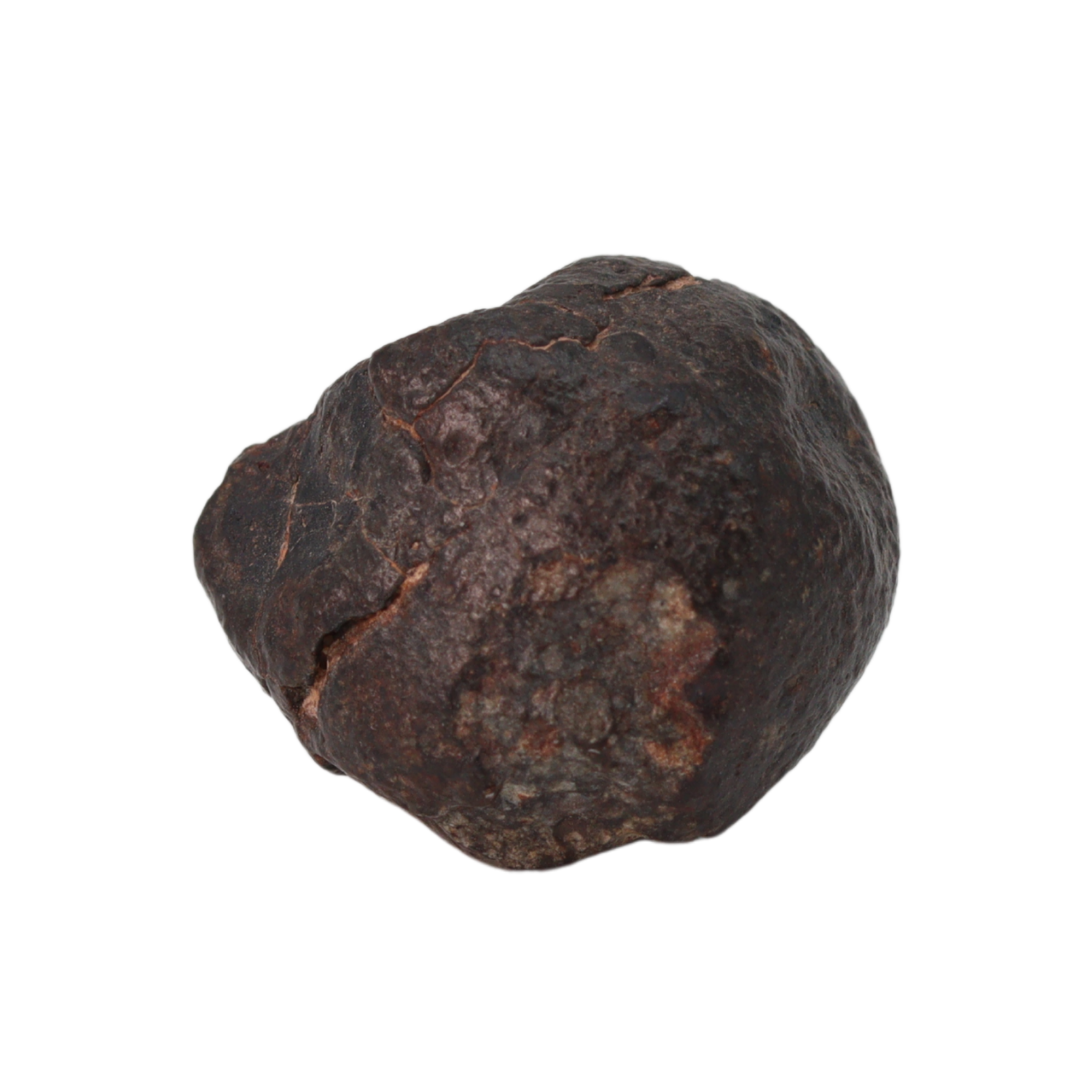 NWA 869 Meteorite Ordinary Chondrite Regolith Breccia (10.78 g) - MBS meteorite 