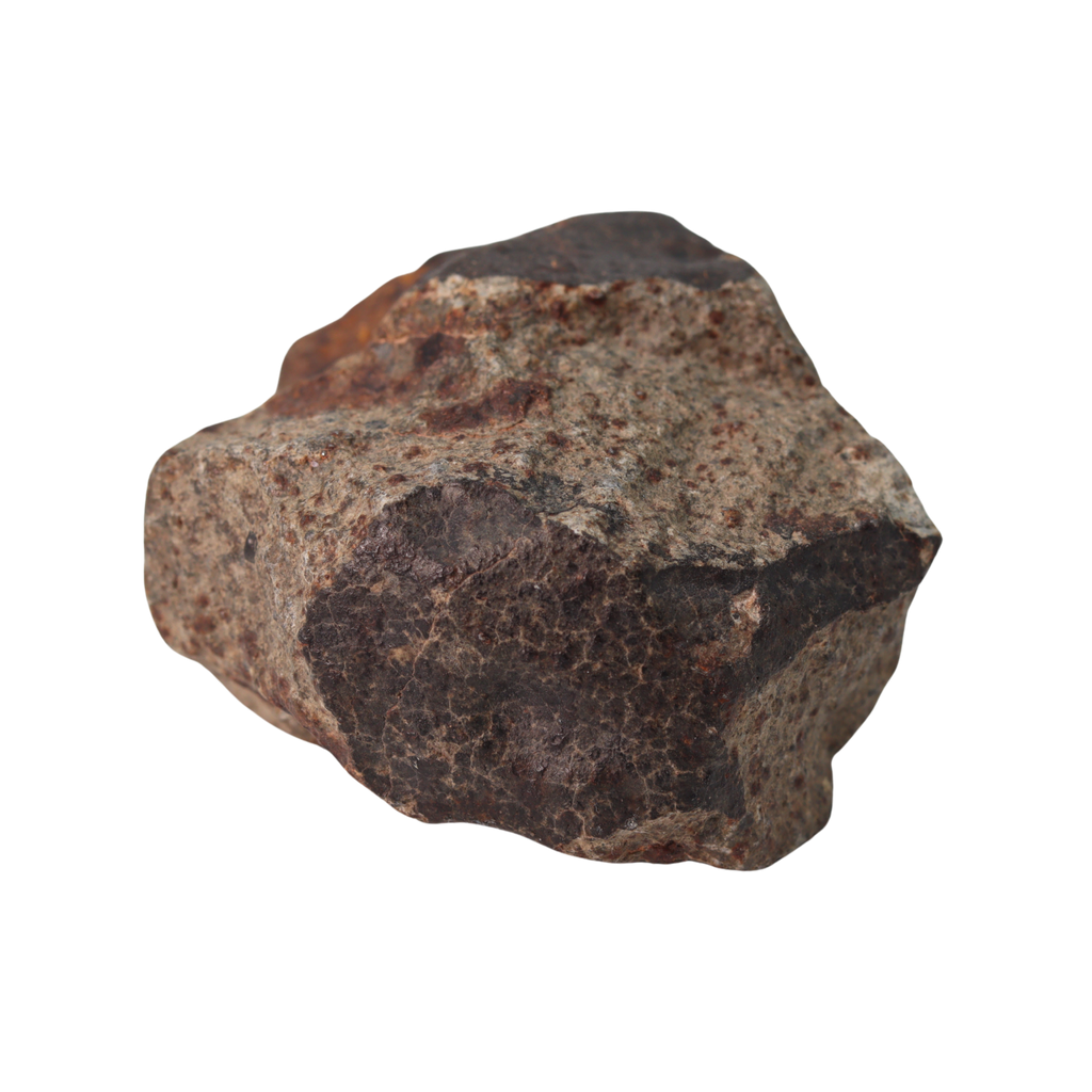 NWA 13281 Meteorite Ordinary Chondrite L5 (145 g) - MBS meteorite 