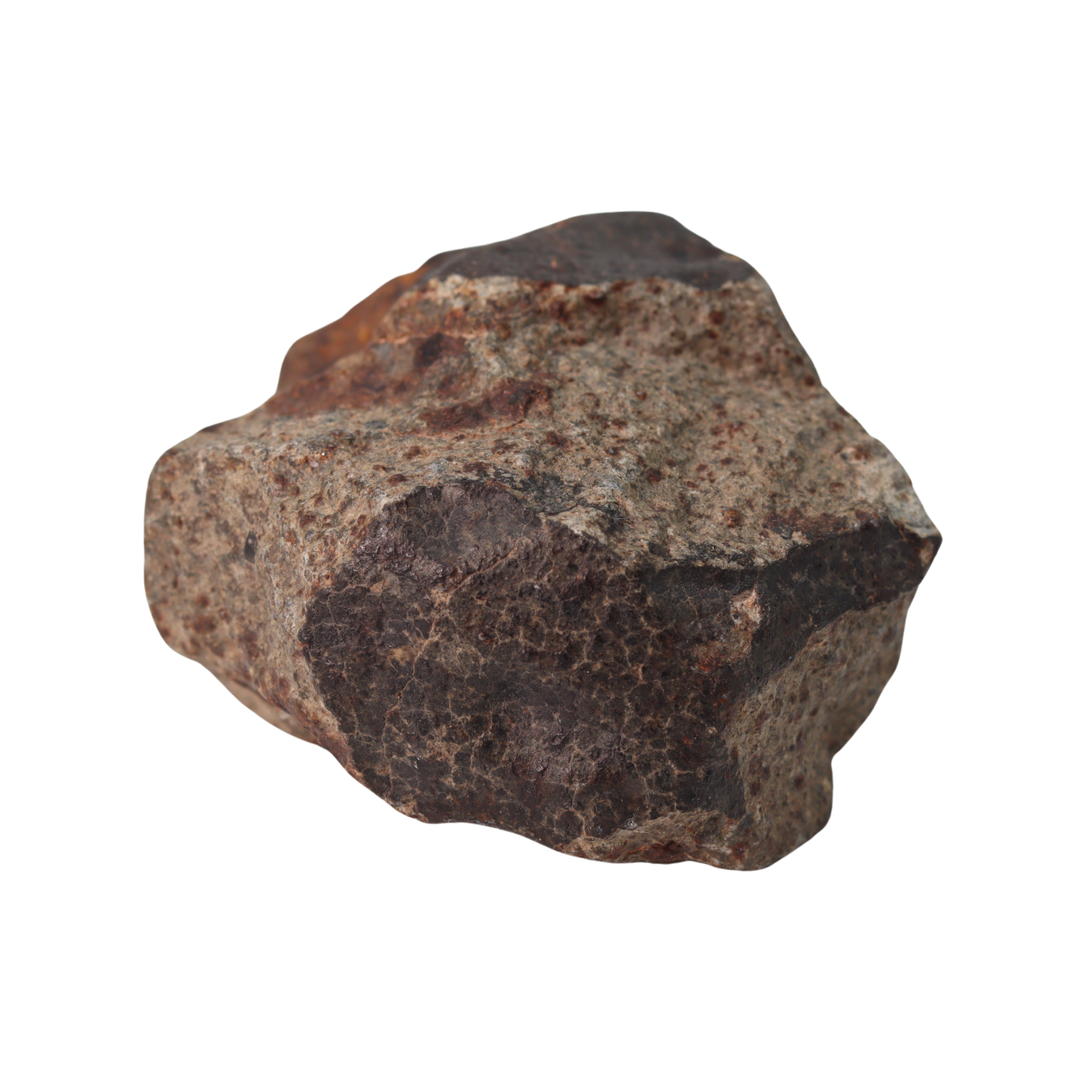 NWA 13281 Meteorite Ordinary Chondrite L5 (145 g) - MBS meteorite 
