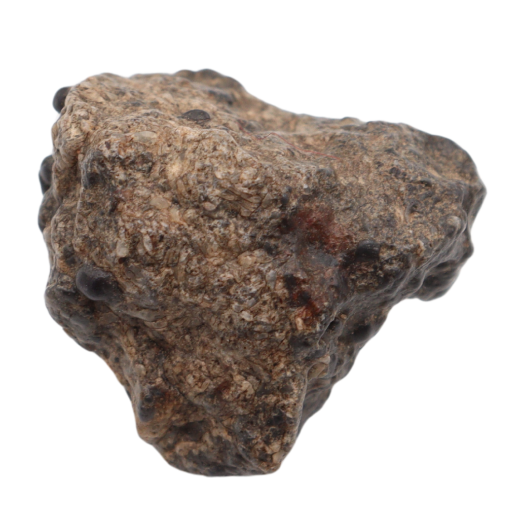 Bechar 003 Meteorite Lunar Feldspathic Breccia (7.19 g). - MBS meteorite 