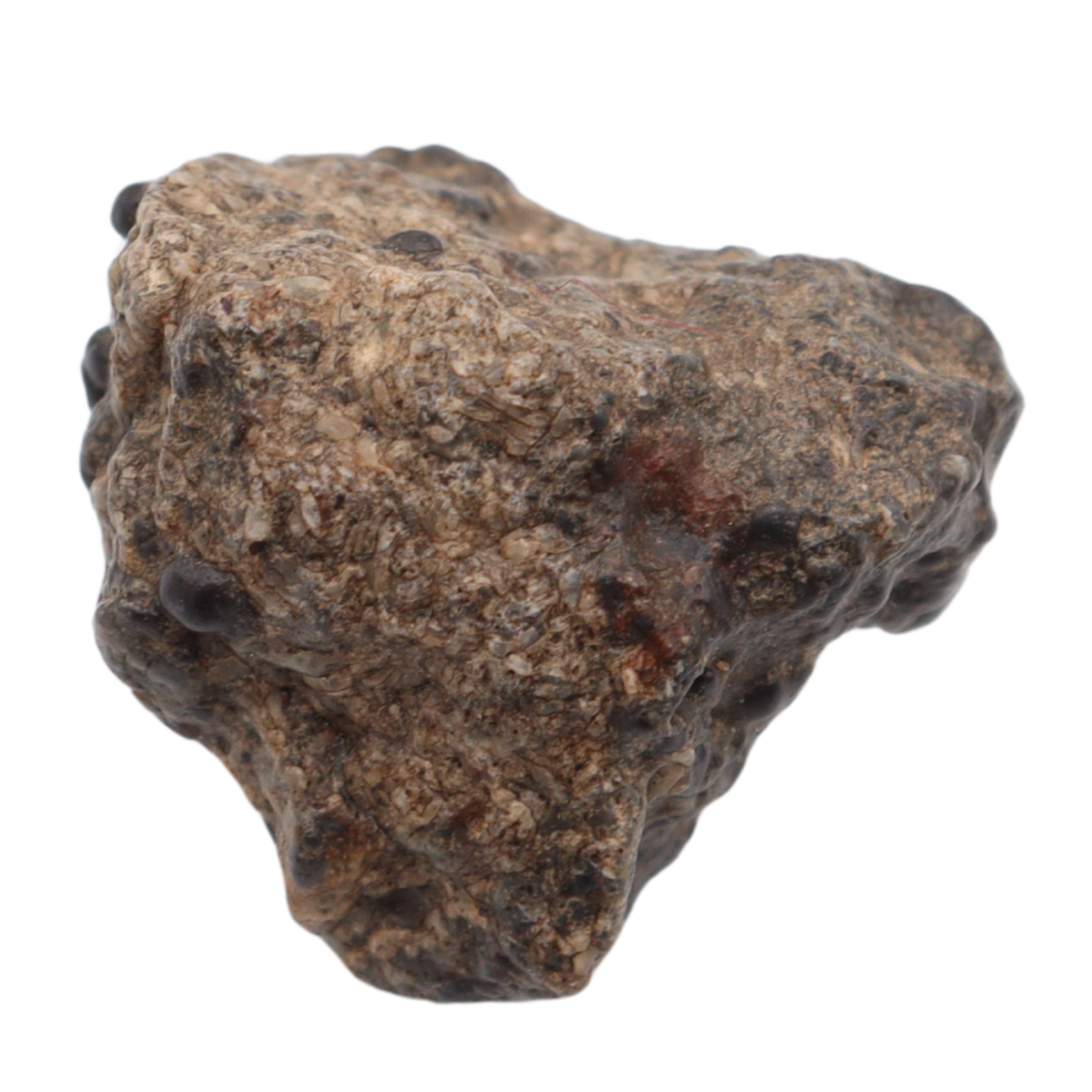 Bechar 003 Meteorite Lunar Feldspathic Breccia (7.19 g). - MBS meteorite 