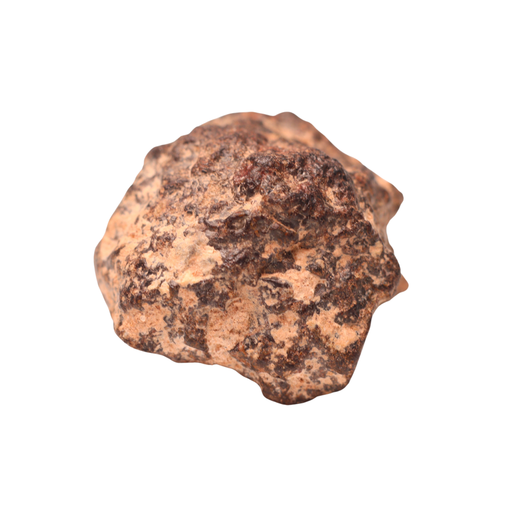 Rafsa 007 Meteorite Angrite Achondrite (5.3 g) - MBS meteorite 