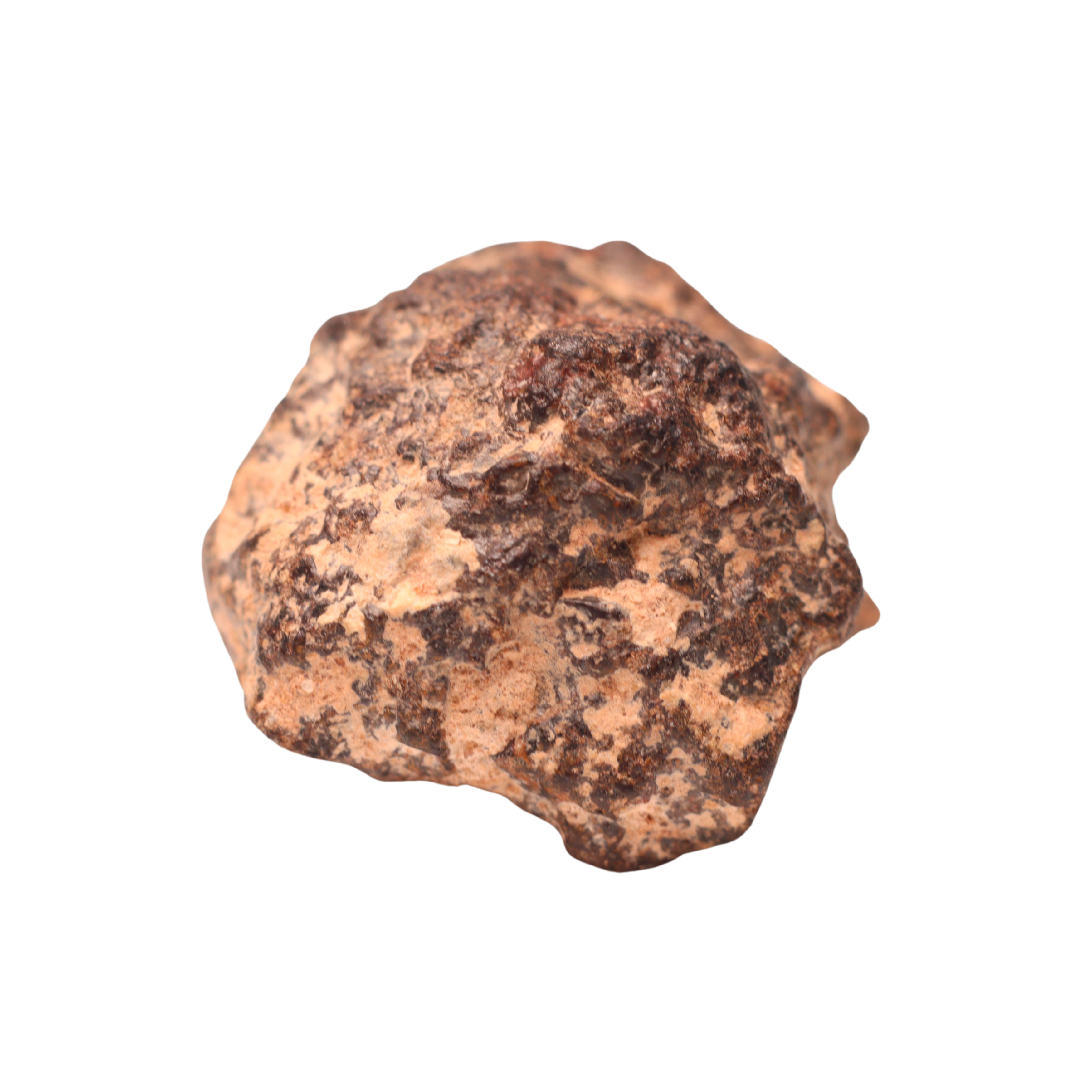 Rafsa 007 Meteorite Angrite Achondrite (5.3 g) - MBS meteorite 