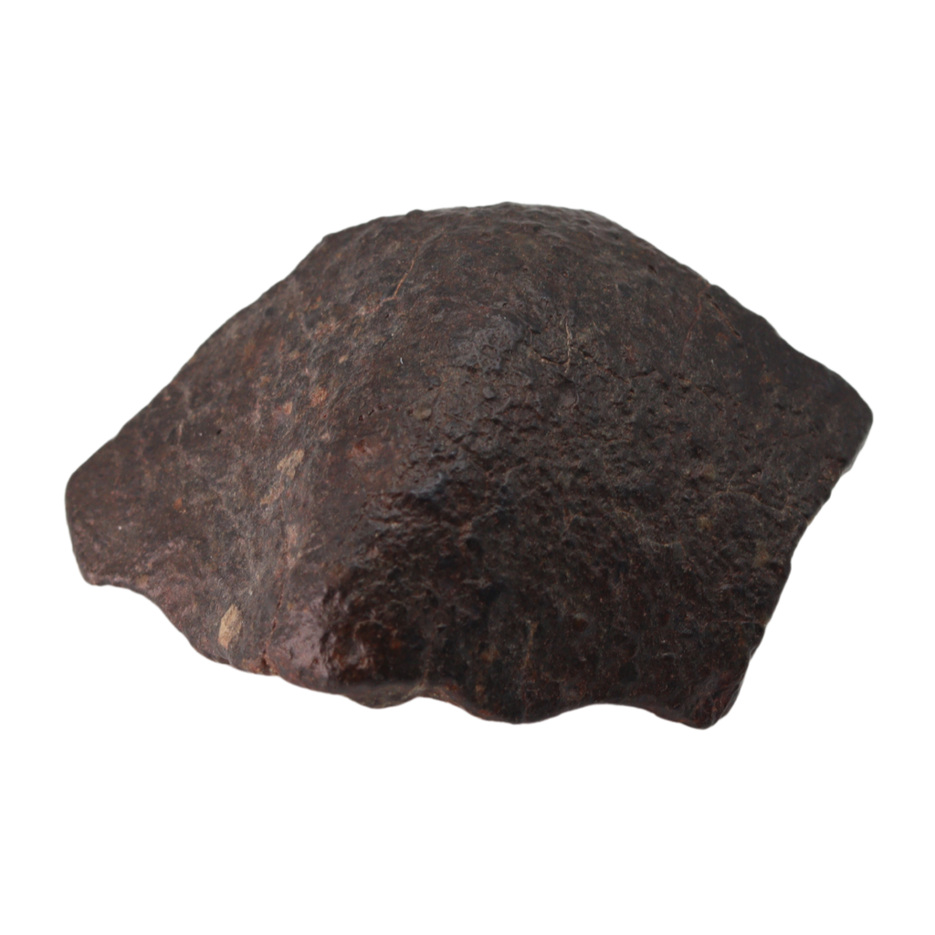 NWA 869 Meteorite L3-6 Regolith Breccia (23.69 g). - MBS meteorite 