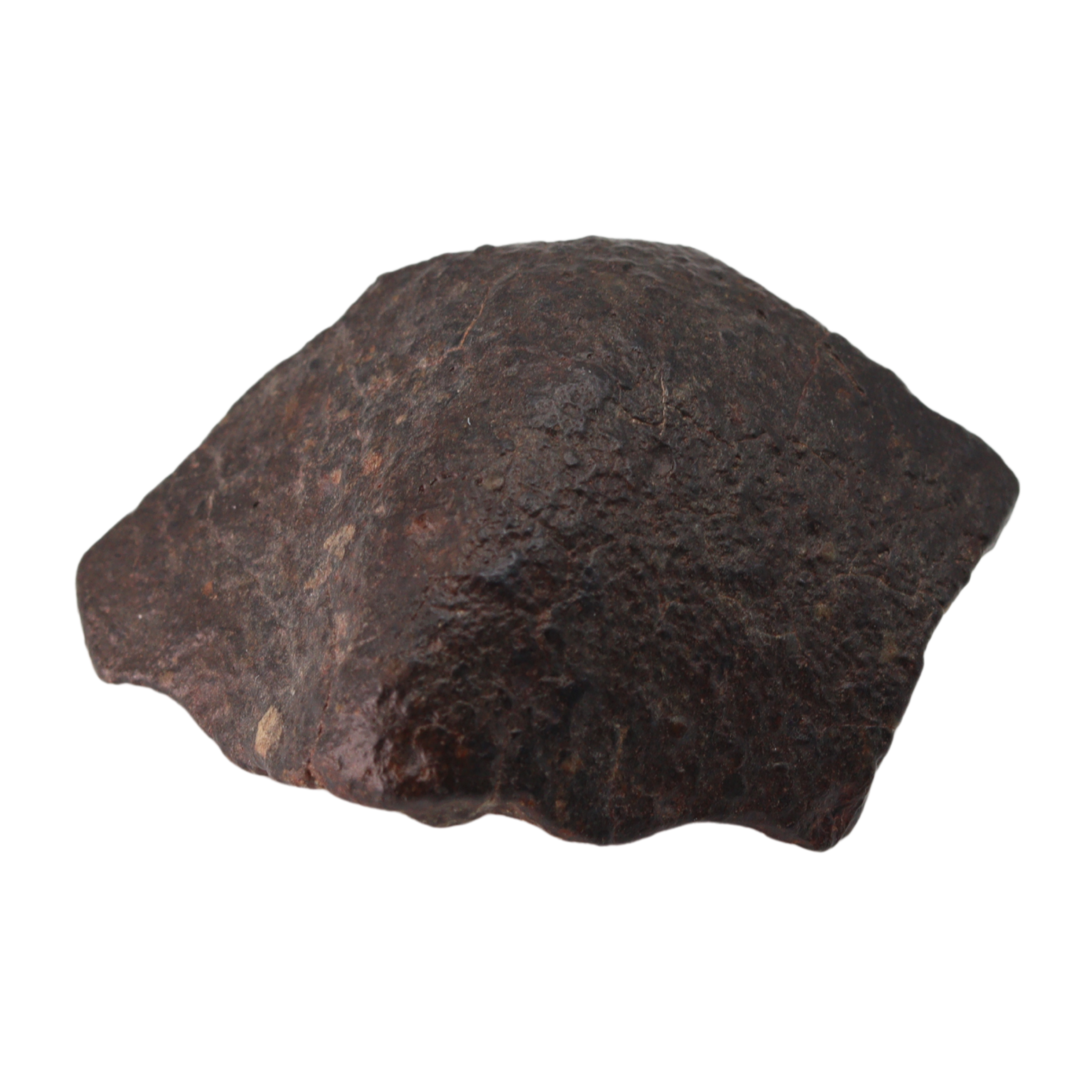 NWA 869 Meteorite L3-6 Regolith Breccia (23.69 g). - MBS meteorite 