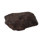 NWA 869 Meteorite Ordinary Chondrite Regolith Breccia (24.00 g). - MBS meteorite 