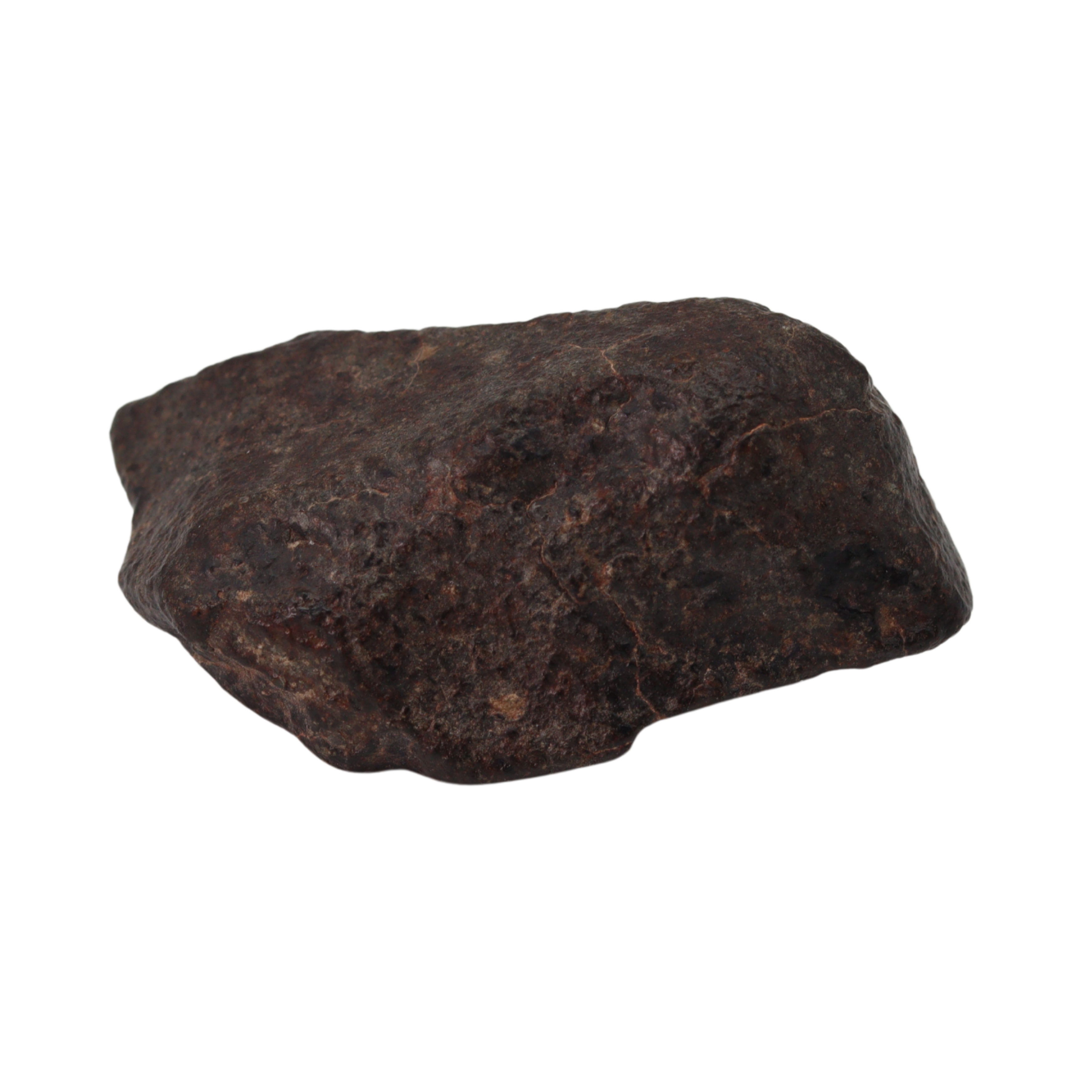 NWA 869 Meteorite Ordinary Chondrite Regolith Breccia (24.00 g). - MBS meteorite 