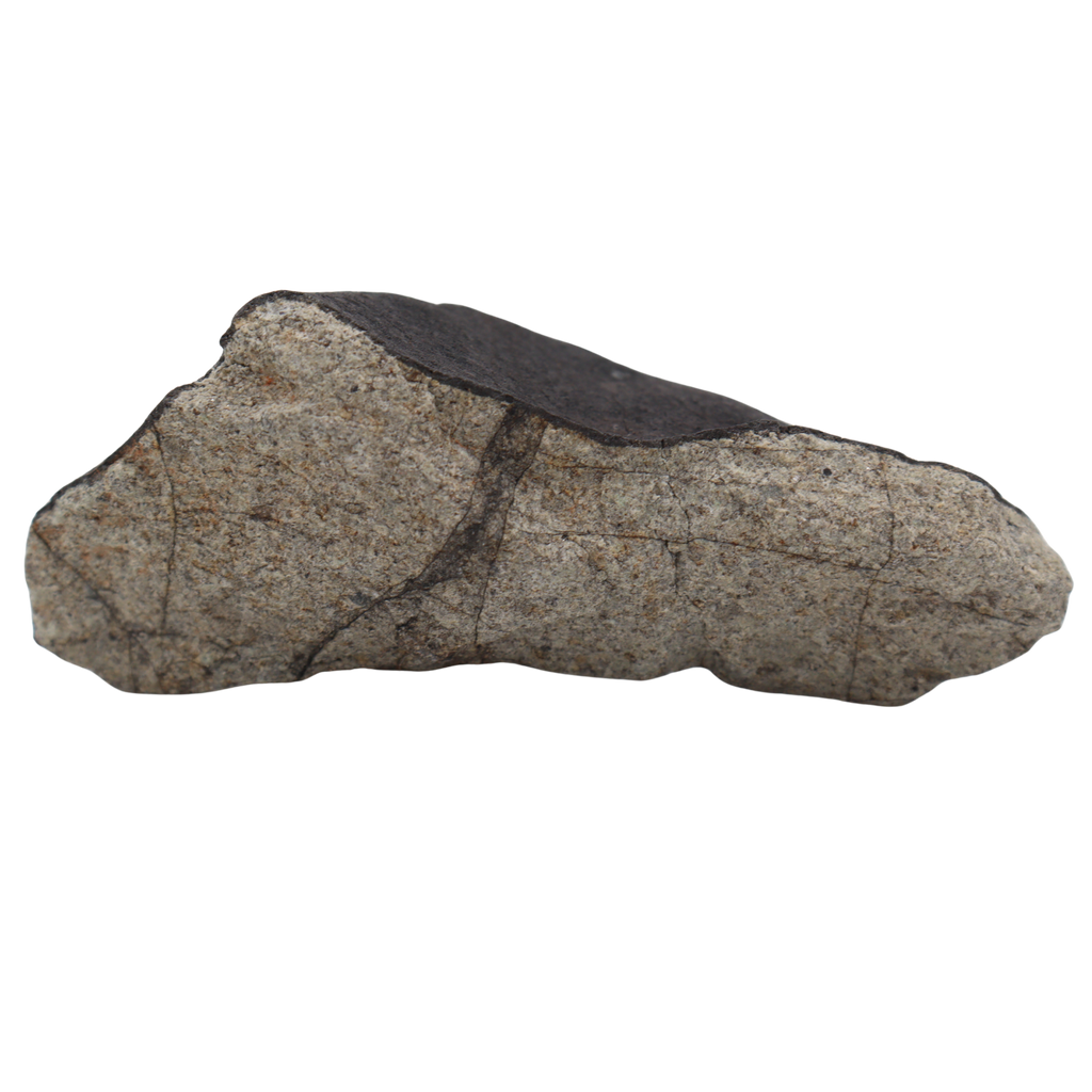 Tanezrouft 090 Meteorite Ordinary Chondrite L 103.46 g - MBS meteorite 