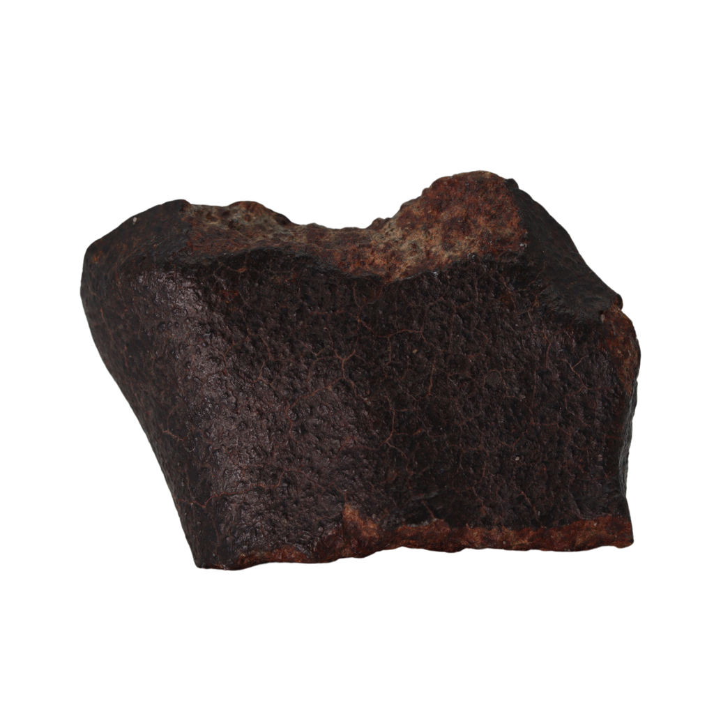 NWA 13281 Meteorite L5 Chondrite (50 g). - MBS meteorite 