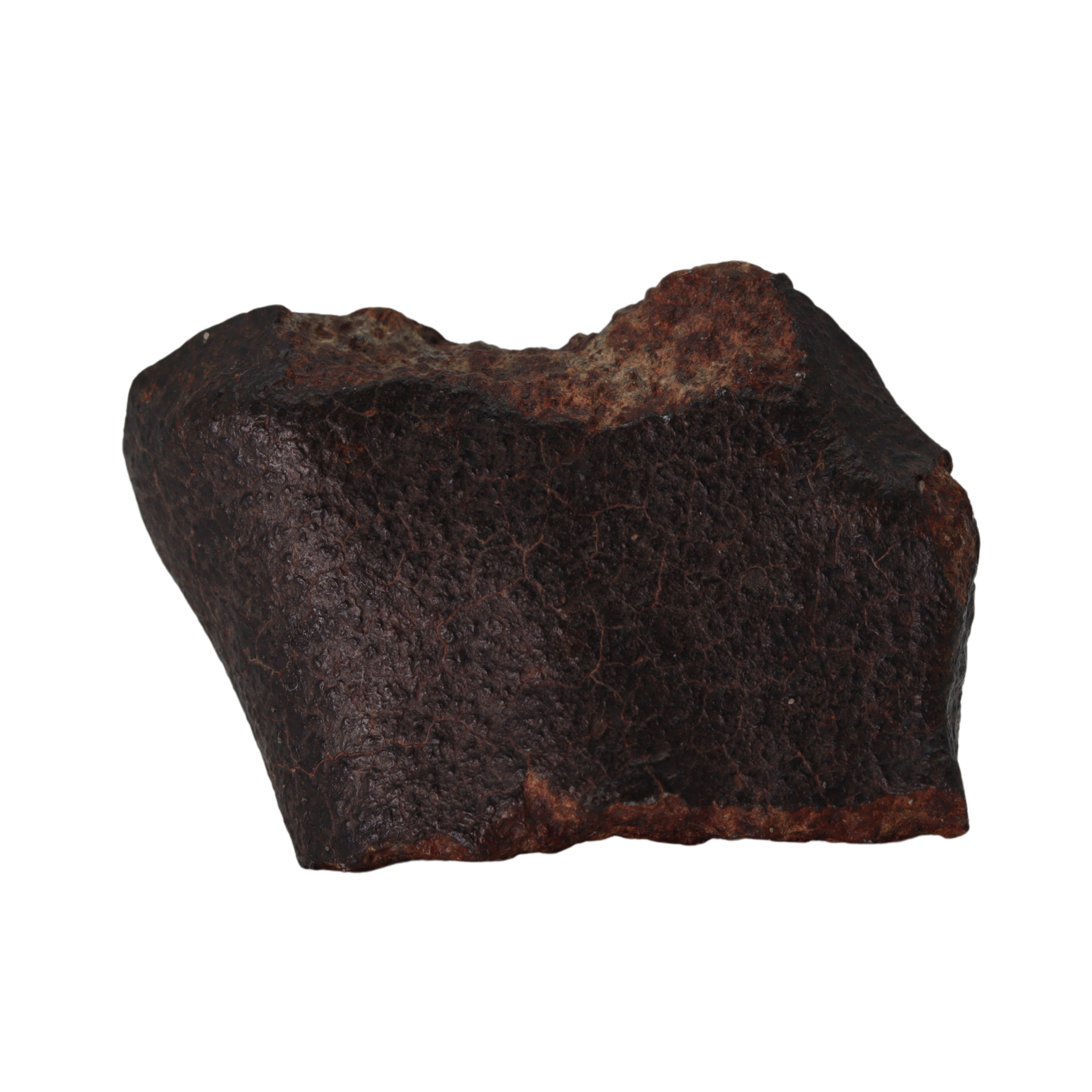 NWA 13281 Meteorite L5 Chondrite (50 g). - MBS meteorite 