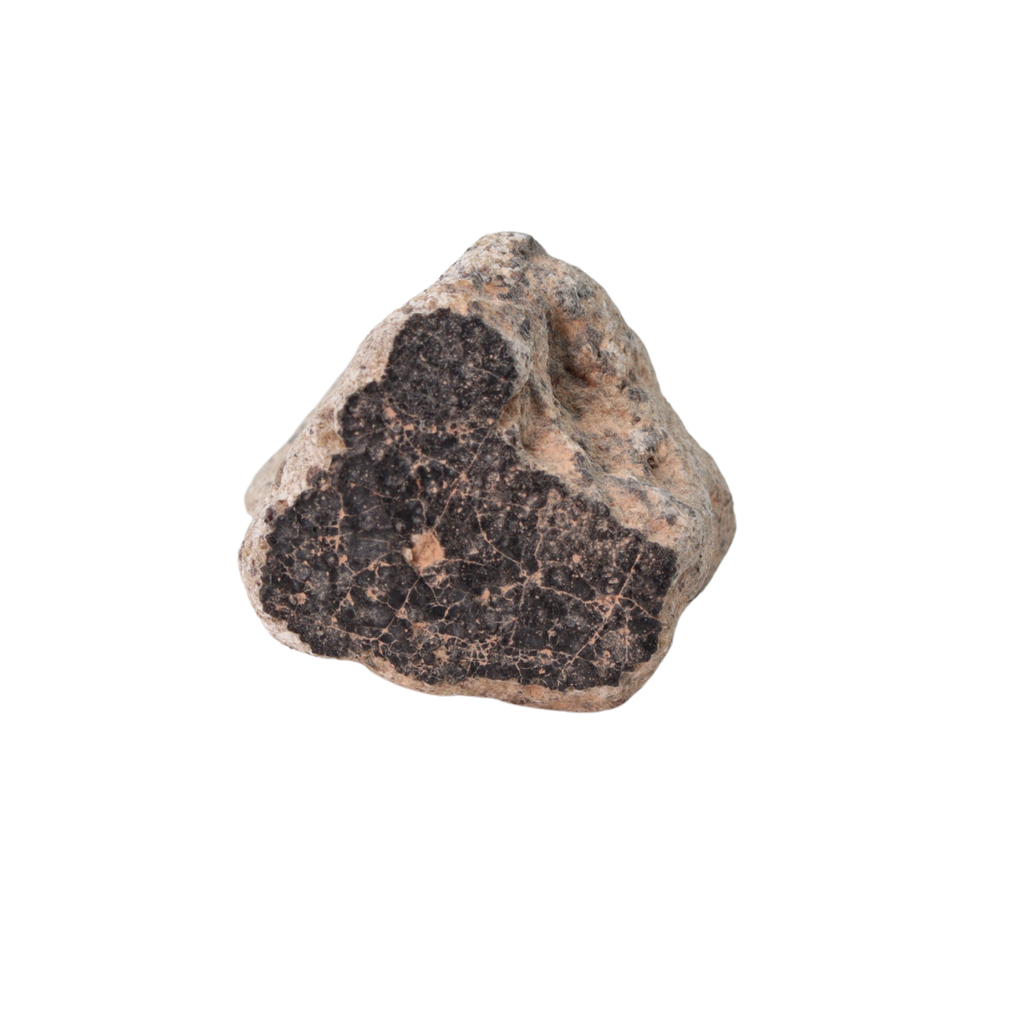 Unclassified Meteorite HED Achondrite Likely Eucrite (15.9 g) - MBS meteorite 