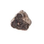 Unclassified Meteorite HED Achondrite Likely Eucrite (15.9 g) - MBS meteorite 