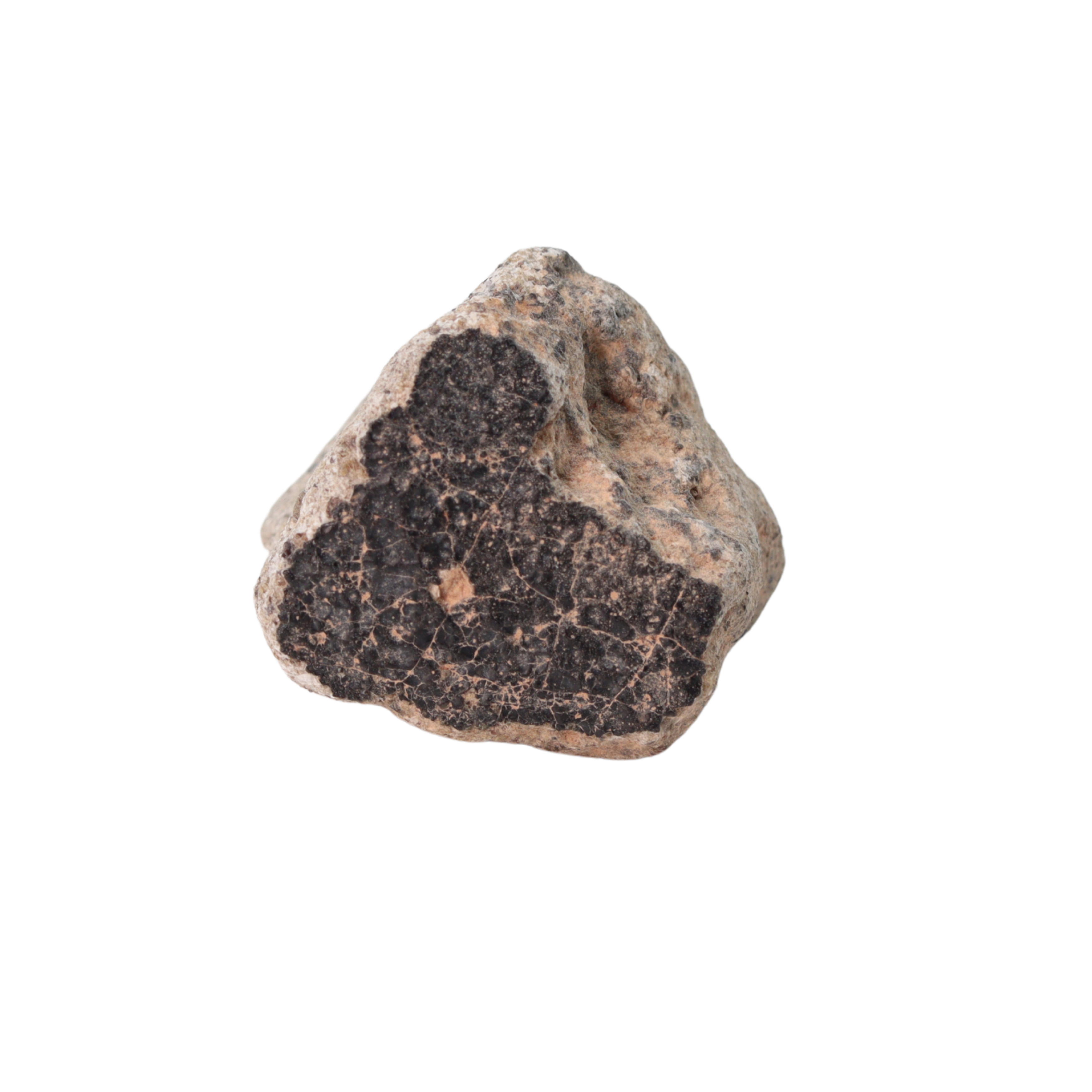Unclassified Meteorite HED Achondrite Likely Eucrite (15.9 g) - MBS meteorite 