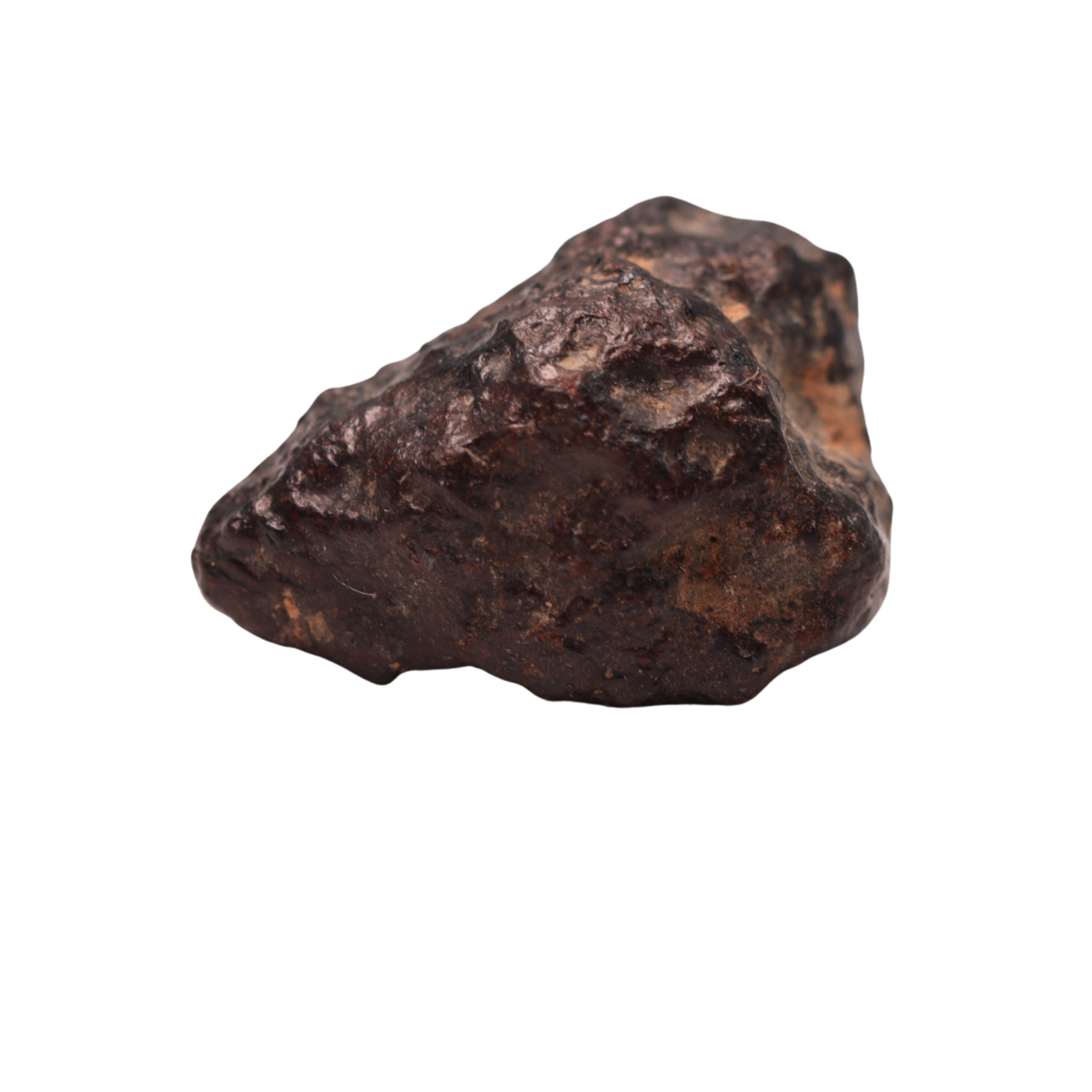 Rafsa 007 Meteorite Angrite Achondrite (2.5 g) - MBS meteorite 