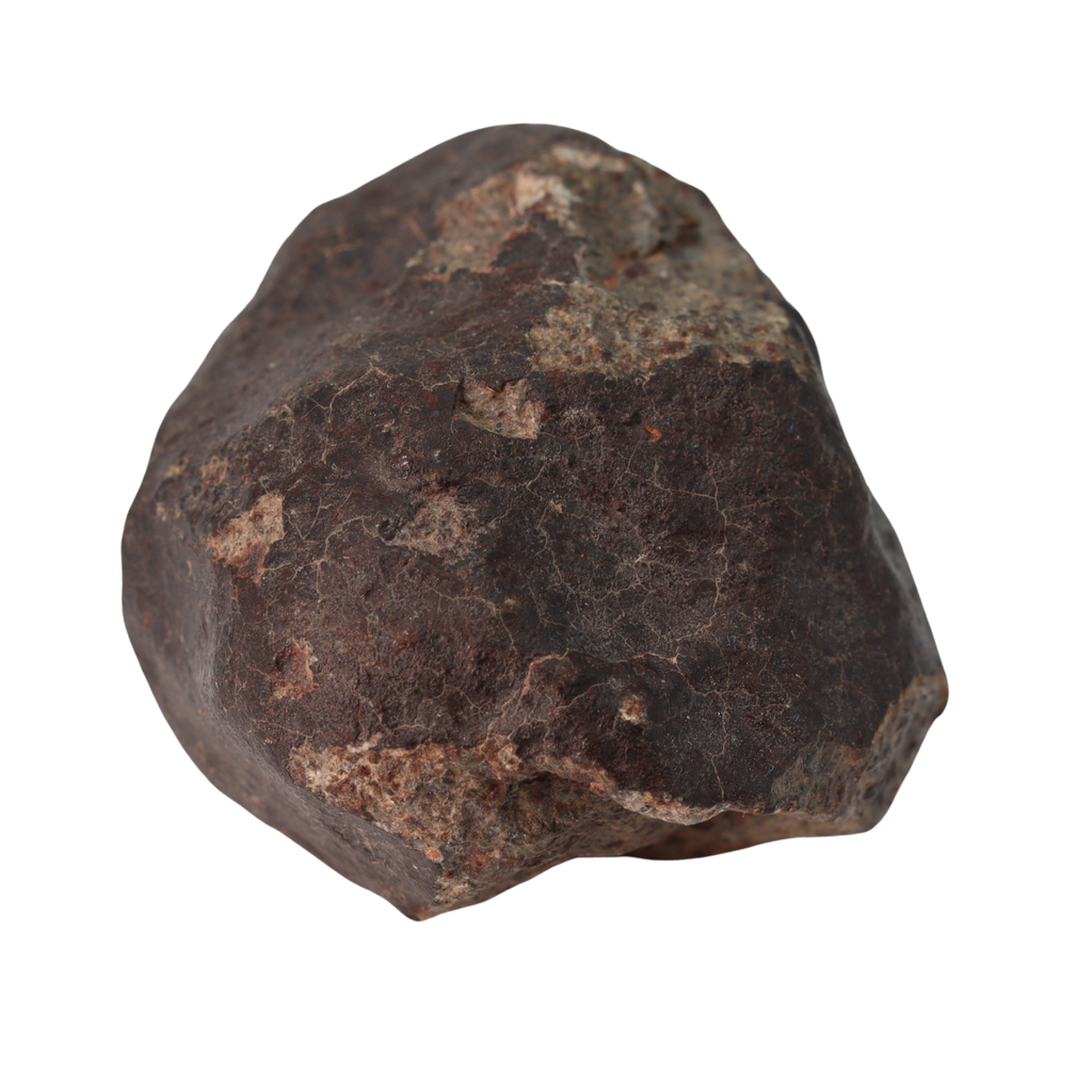 NWA 13281 Meteorite Ordinary Chondrite L5 (250 g) - MBS meteorite 