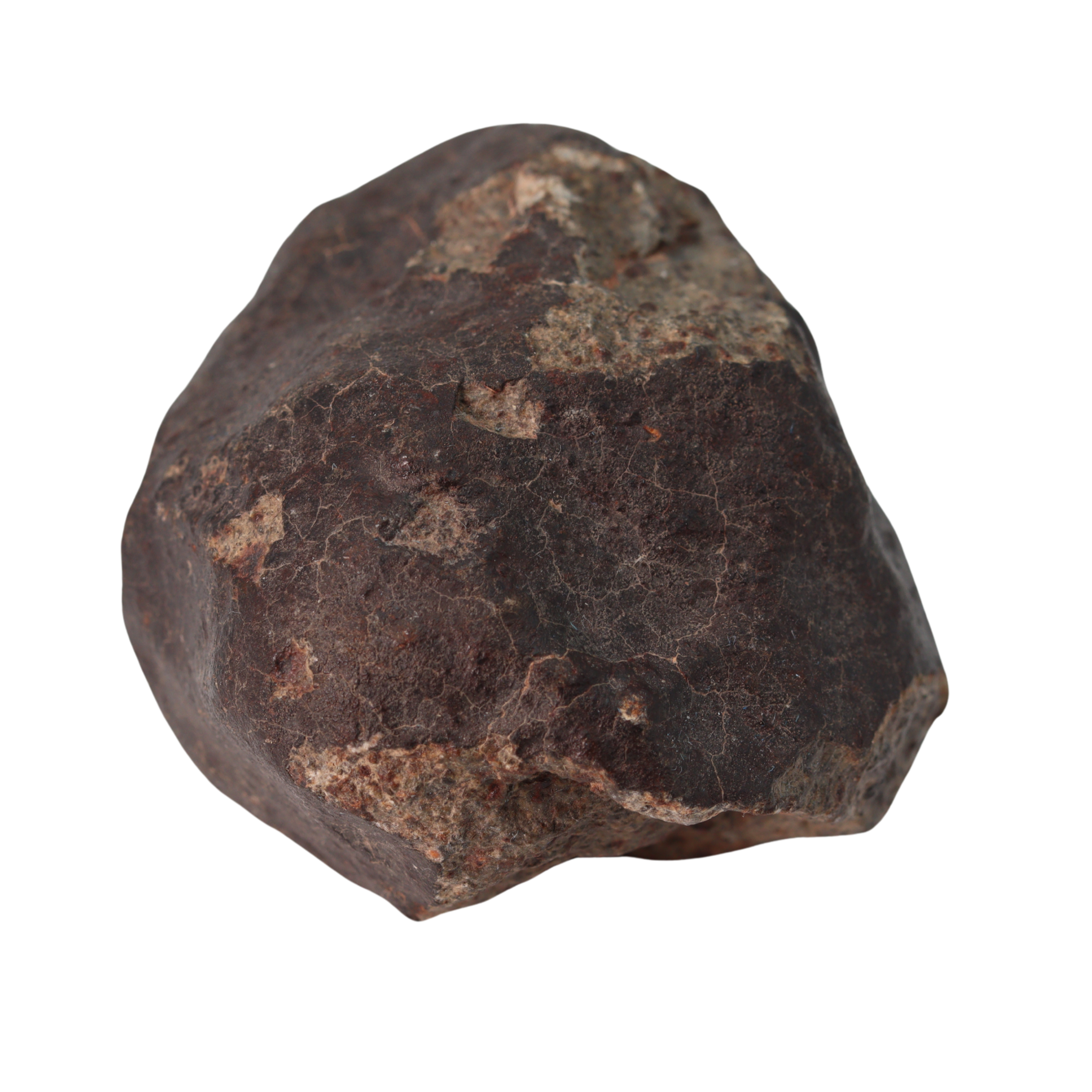 NWA 13281 Meteorite Ordinary Chondrite L5 (250 g) - MBS meteorite 