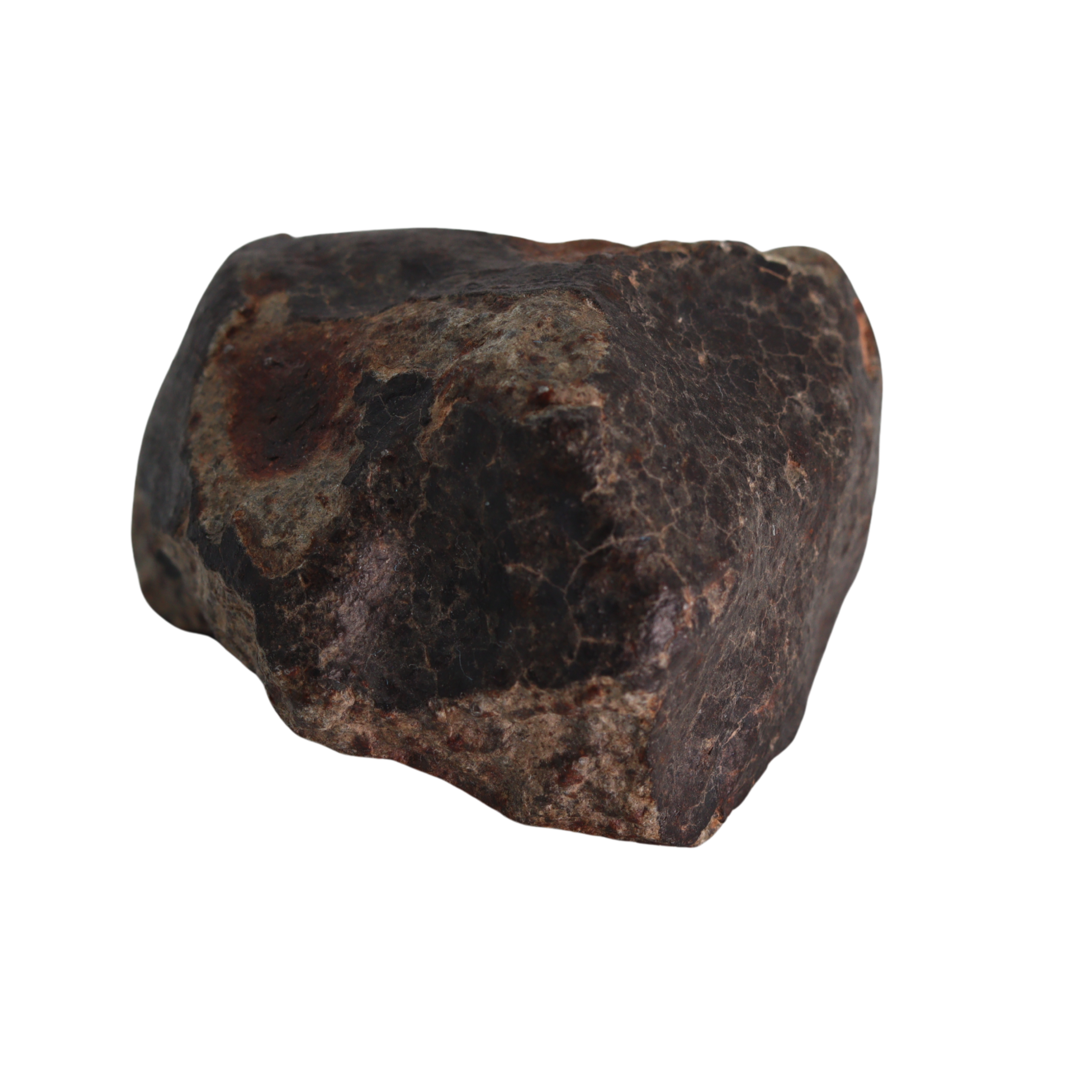 NWA 13281 Meteorite L5 Chondrite Hand Specimen (115 g). - MBS meteorite 