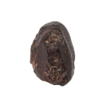 NWA 869 Meteorite - Famous L3-6 Regolith Breccia (42.09 g). - MBS meteorite 