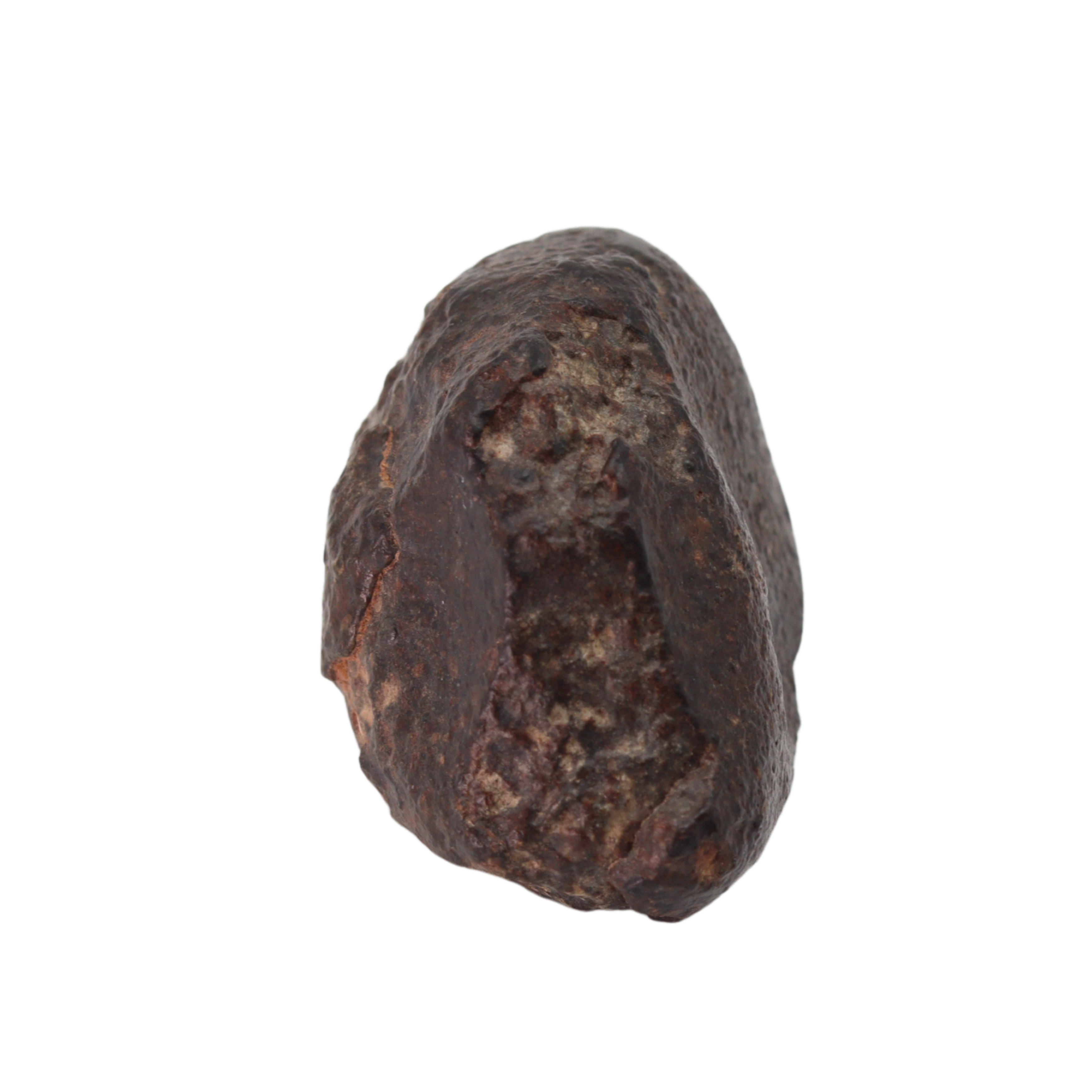 NWA 869 Meteorite - Famous L3-6 Regolith Breccia (42.09 g). - MBS meteorite 