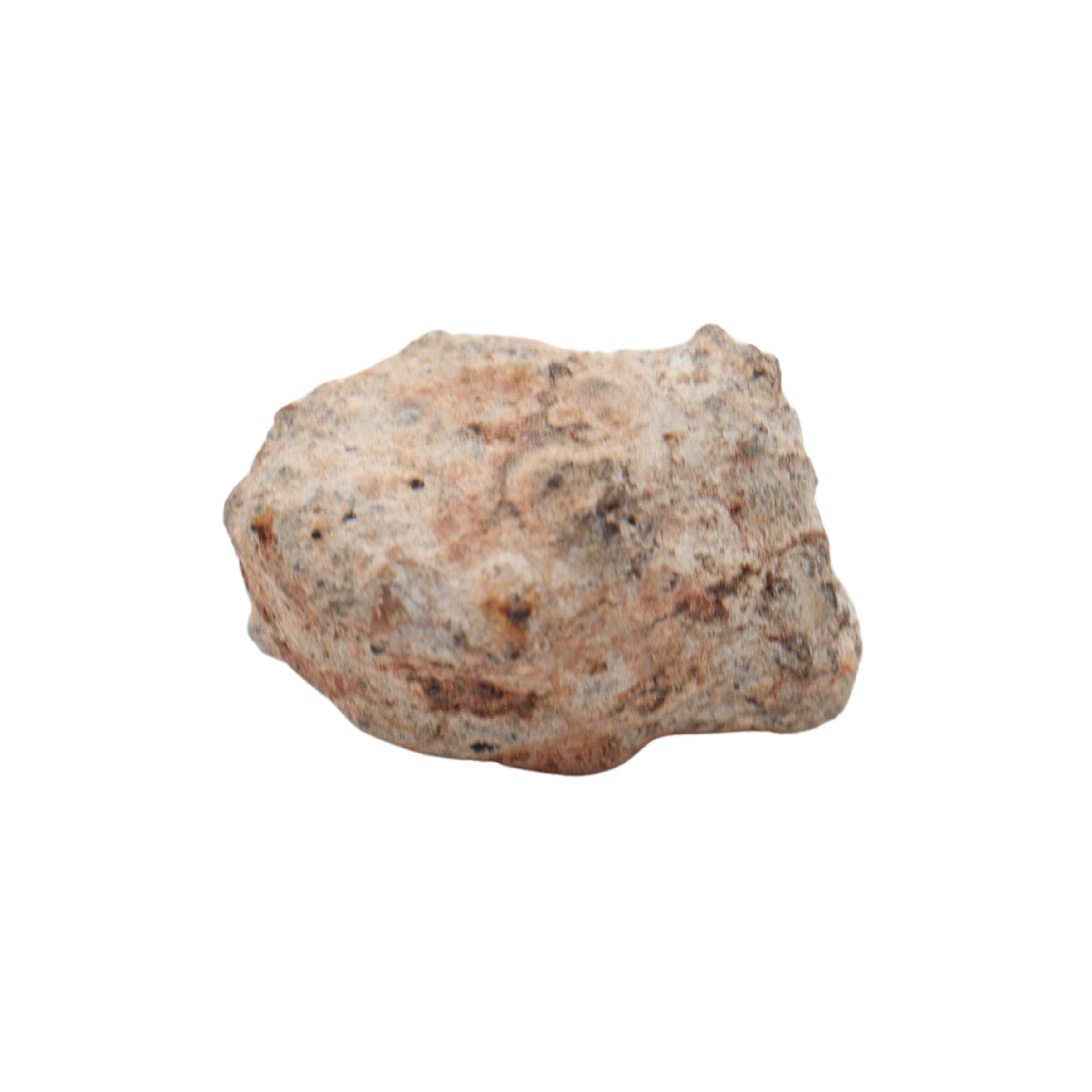 Bechar 003 Meteorite Lunar Feldspathic Breccia (6.85 g) - MBS meteorite 