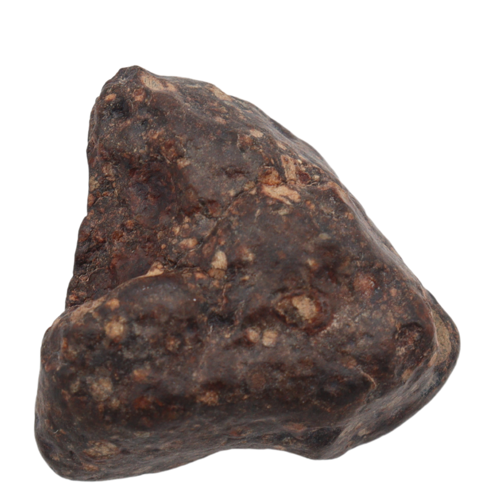Erg Chech 008 Meteorite CR2 Carbonaceous Chondrite (10.8 g). - MBS meteorite 