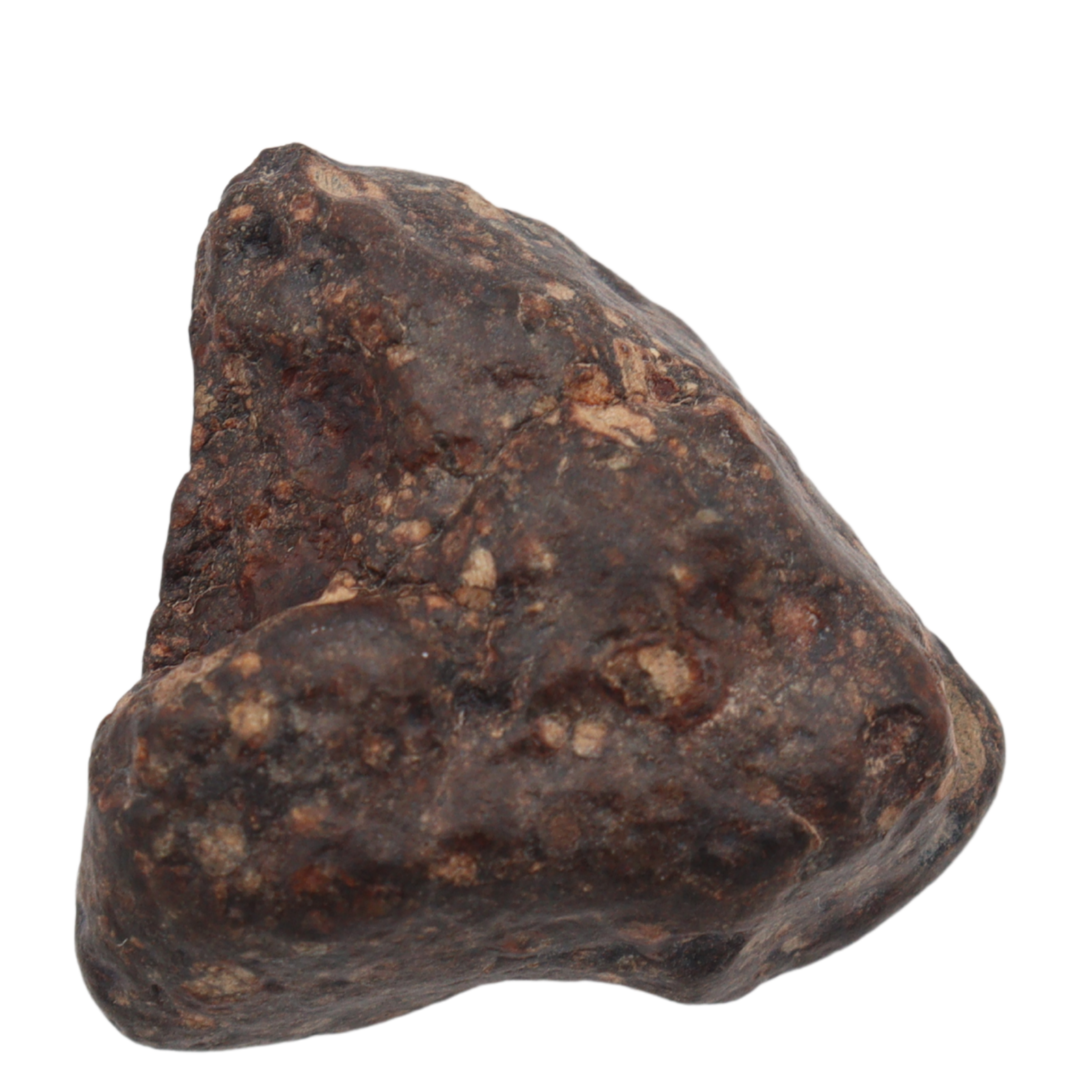 Erg Chech 008 Meteorite CR2 Carbonaceous Chondrite (10.8 g). - MBS meteorite 