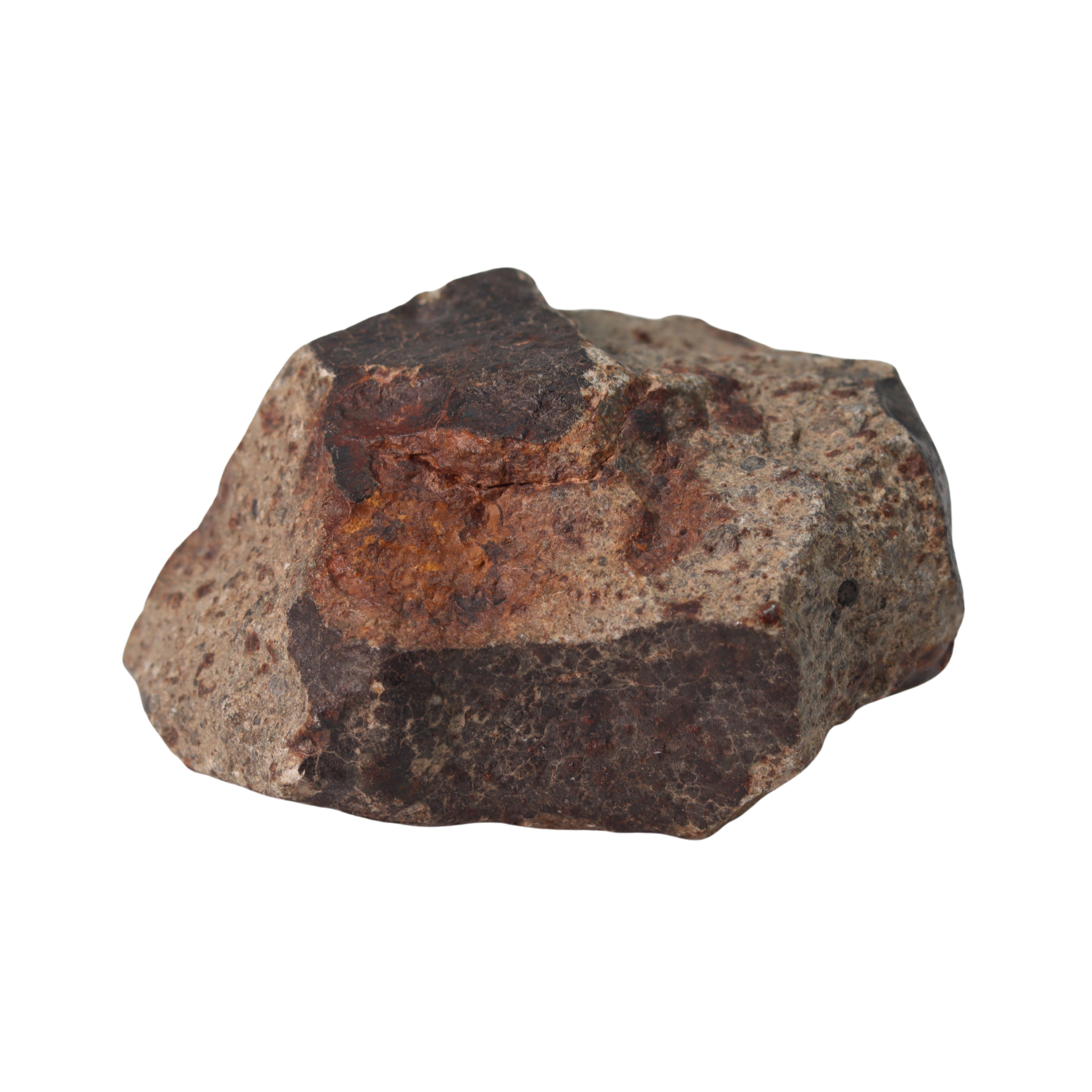 NWA 13281 Meteorite Ordinary Chondrite L5 (145 g) - MBS meteorite 