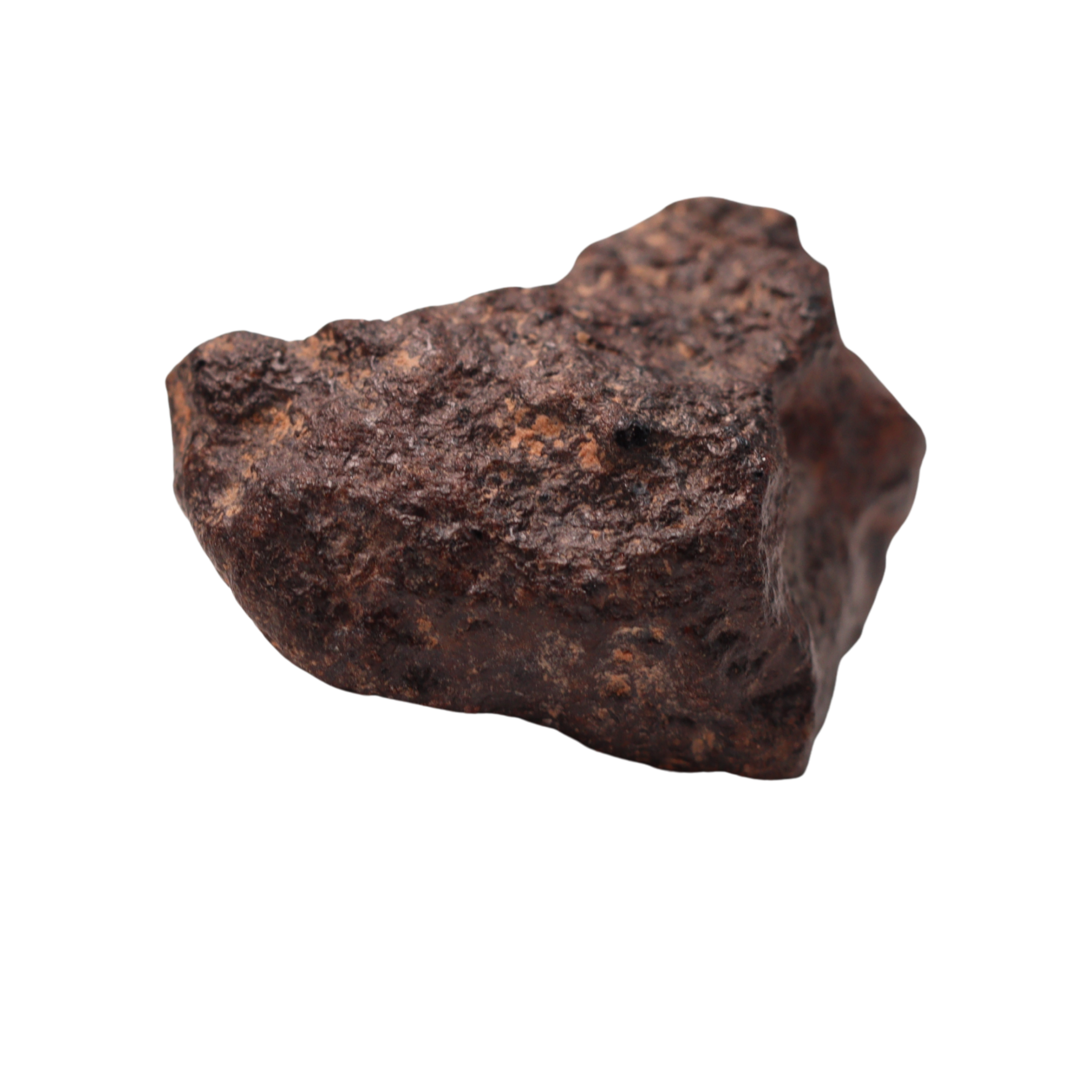 Rafsa 007 Meteorite Angrite Achondrite (3.1 g) - MBS meteorite 