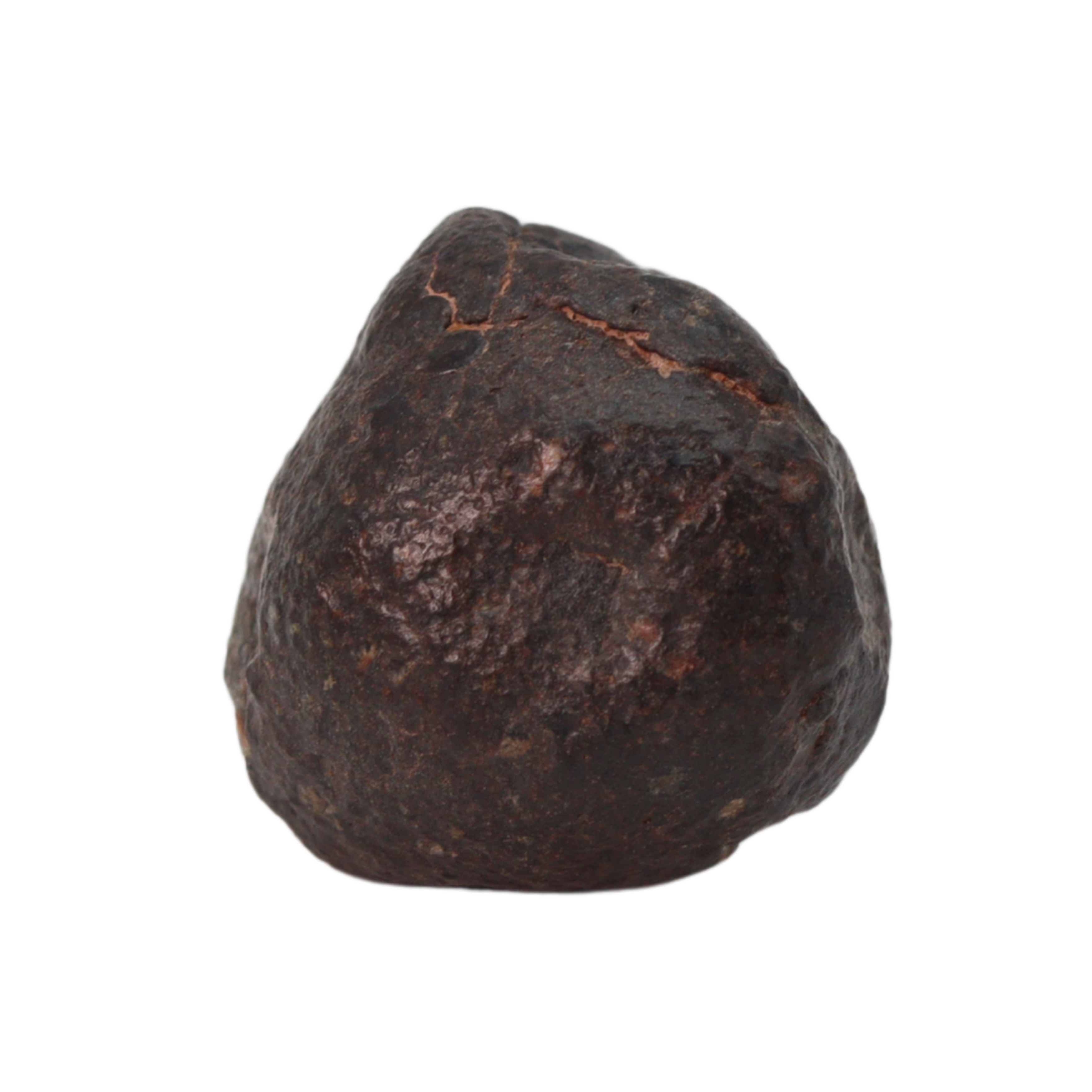 NWA 869 Meteorite Ordinary Chondrite Regolith Breccia (10.78 g) - MBS meteorite 