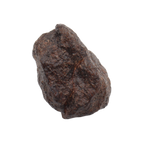 NWA 16208 Meteorite Winonaite Primitive Achondrite (6 g). - MBS meteorite 