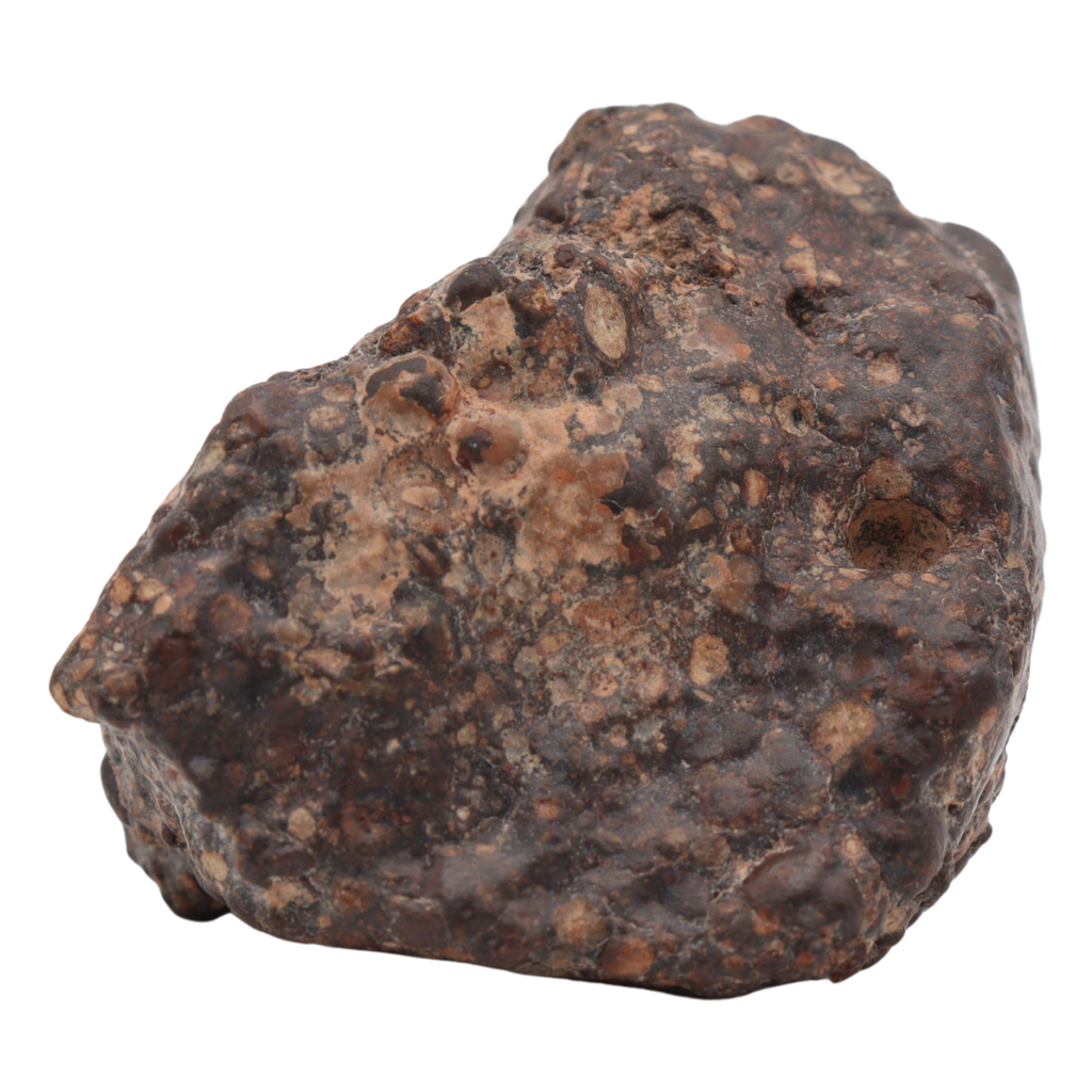 Erg Chech 008 Meteorite Carbonaceous Chondrite CR2 38.9 g - MBS meteorite 