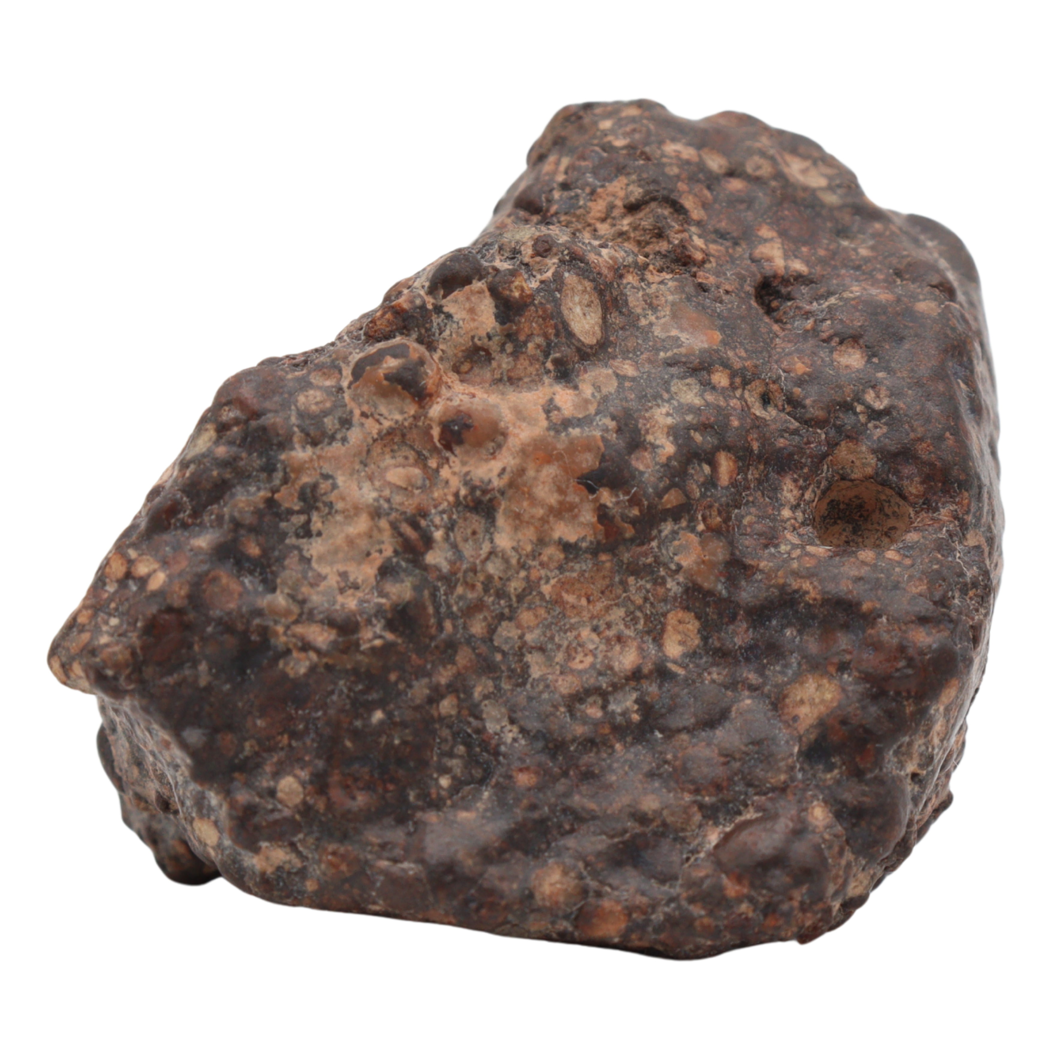 Erg Chech 008 Meteorite Carbonaceous Chondrite CR2 38.9 g - MBS meteorite 