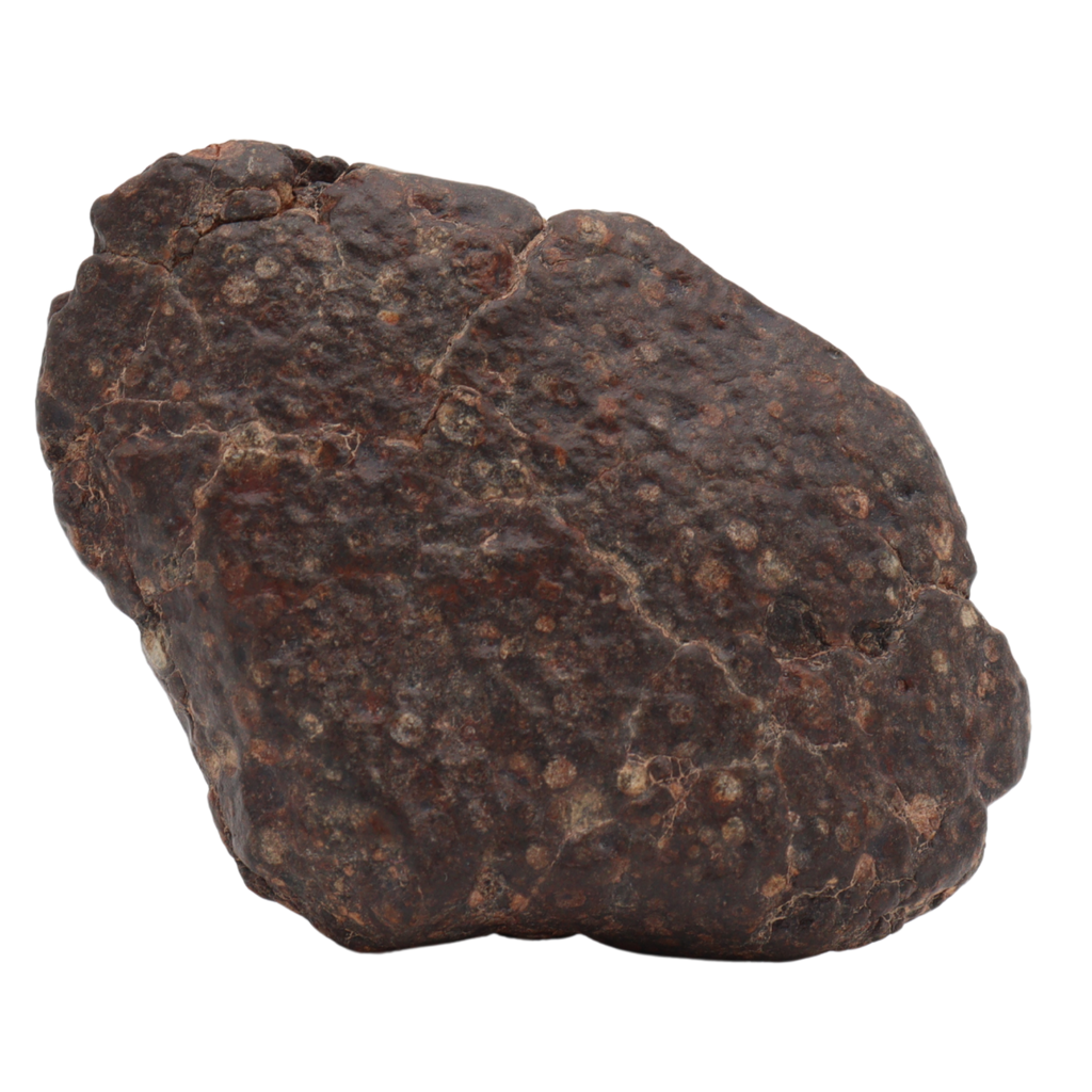 Erg Chech 008 Meteorite Carbonaceous Chondrite CR2 57.5 g. - MBS meteorite 