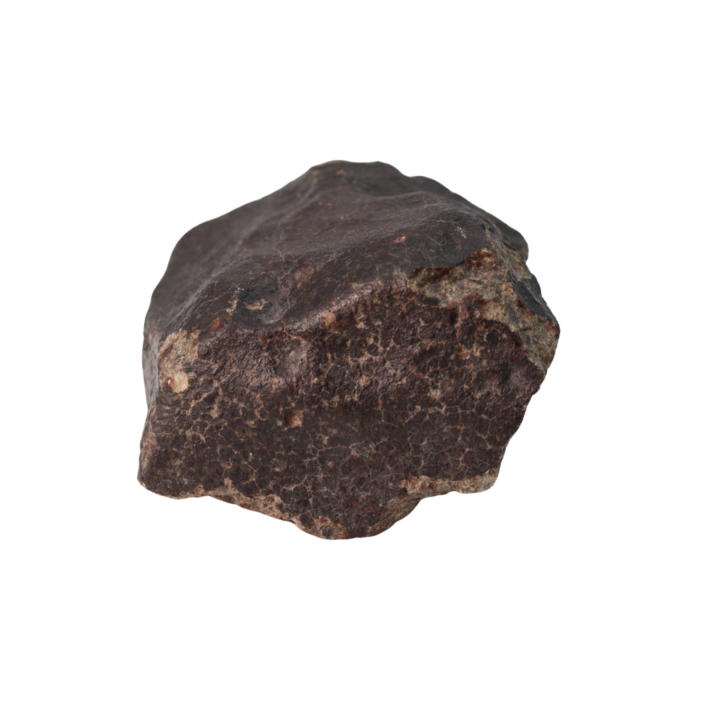 NWA 13281 Meteorite Ordinary Chondrite L5 (285 g) - MBS meteorite 