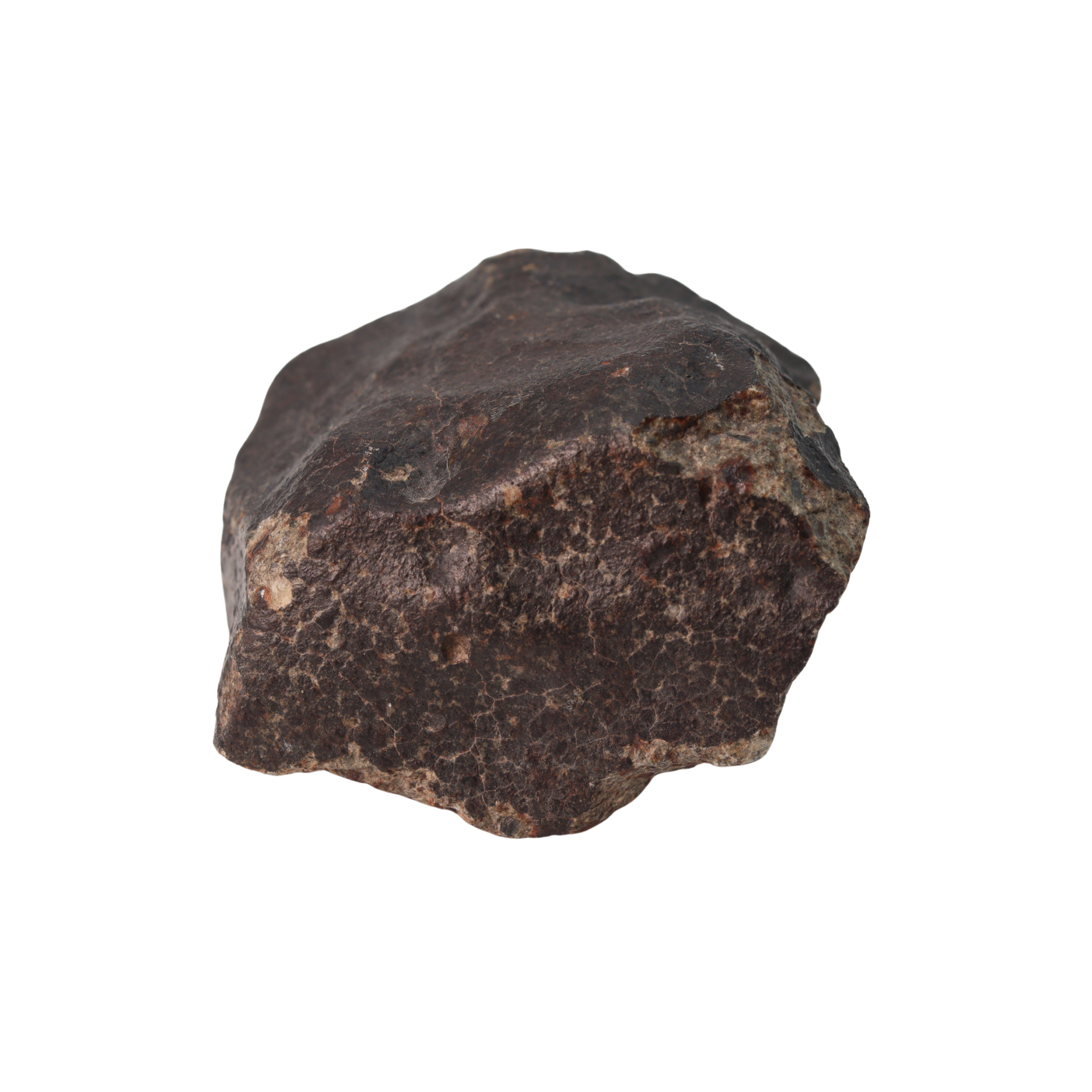 NWA 13281 Meteorite Ordinary Chondrite L5 (285 g) - MBS meteorite 