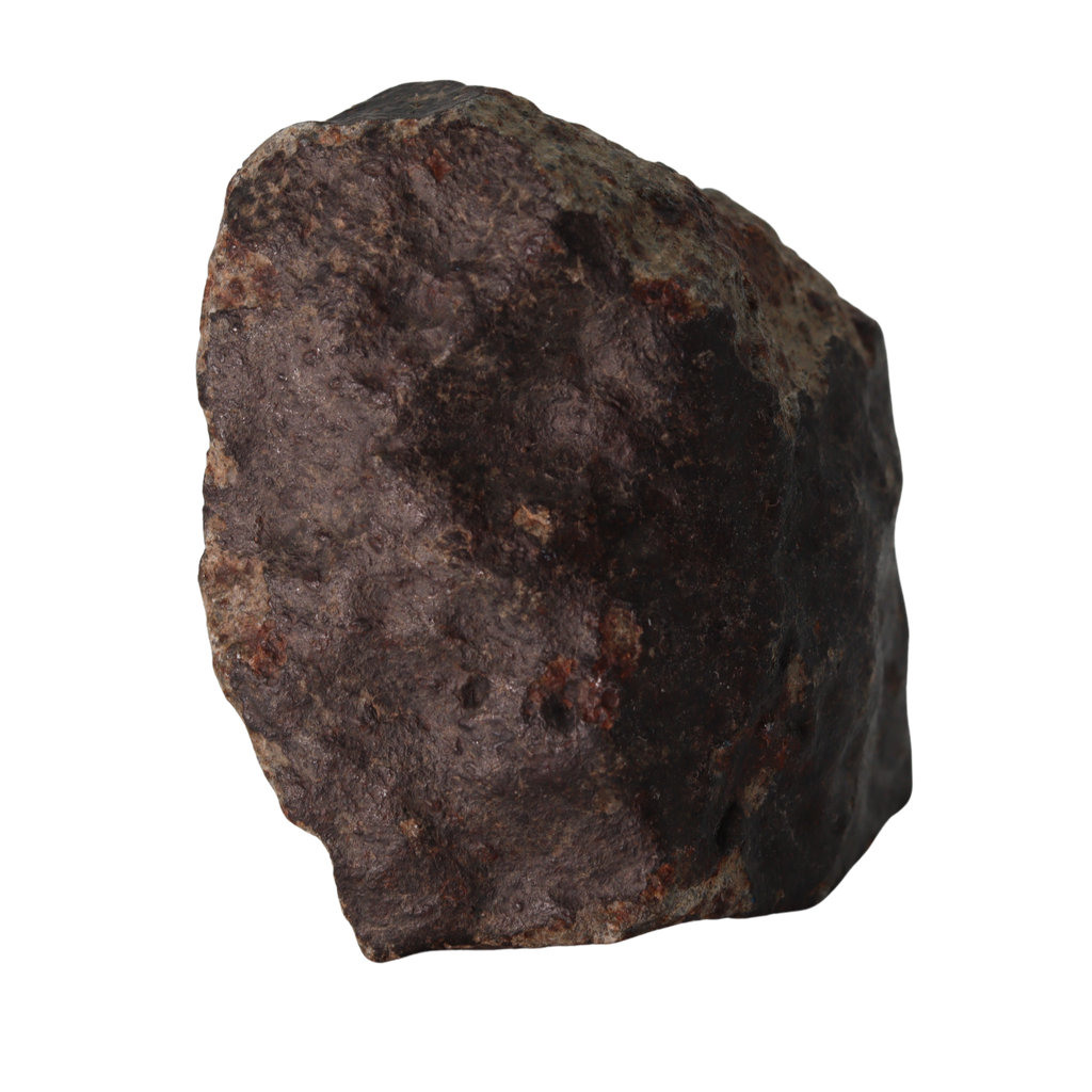 NWA 13281 Meteorite L5 Chondrite with Fusion Crust (175 g). - MBS meteorite 