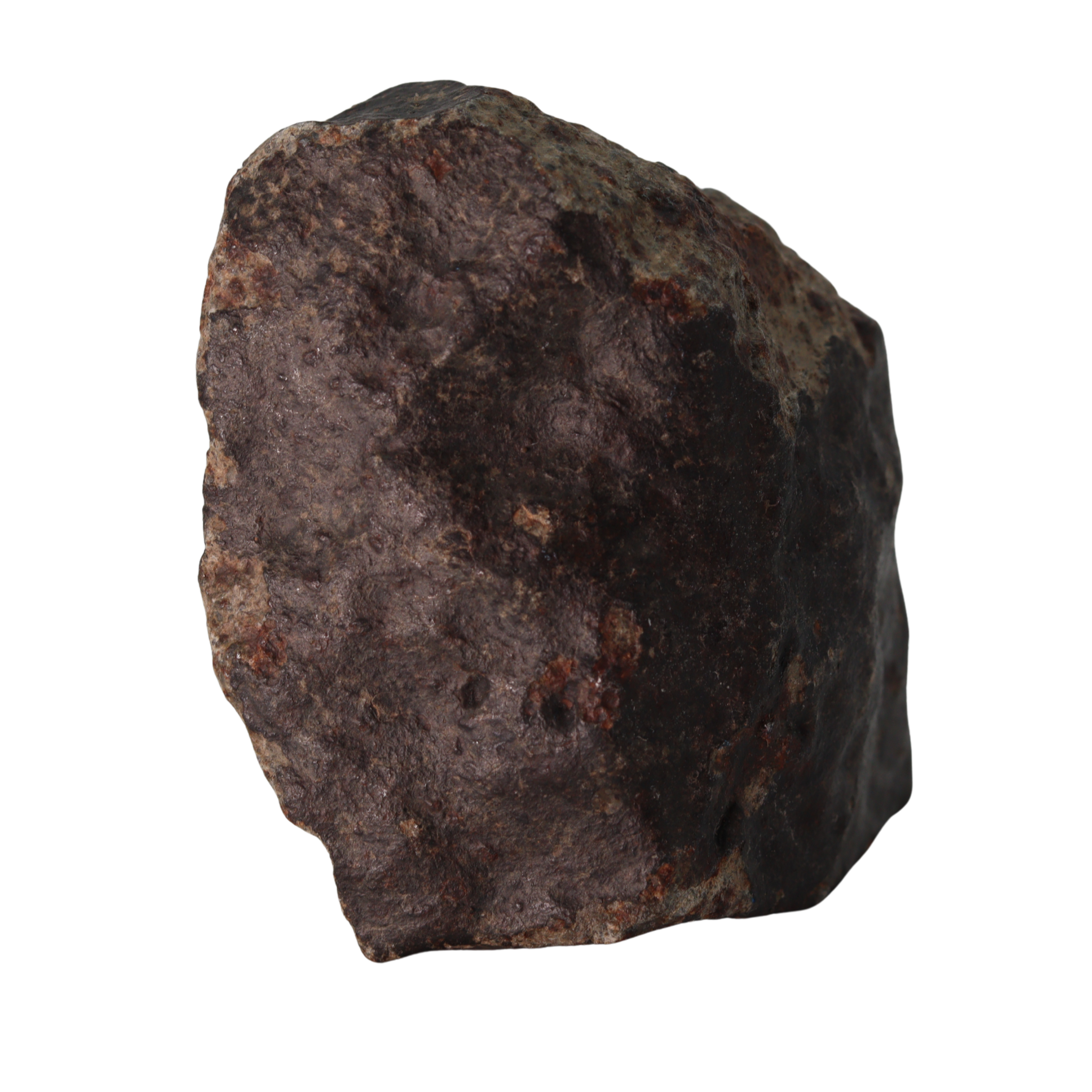NWA 13281 Meteorite L5 Chondrite with Fusion Crust (175 g). - MBS meteorite 