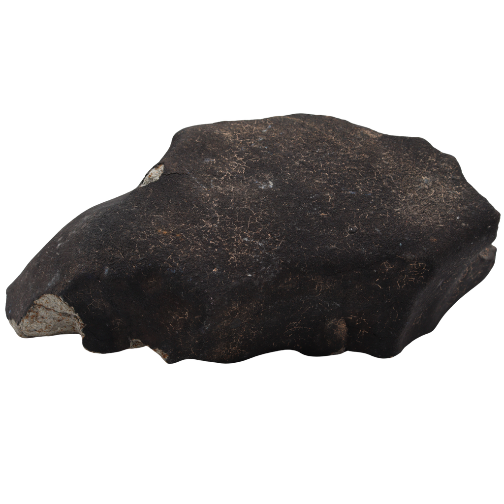 Tanezrouft 090 Meteorite Ordinary Chondrite L6 (1742 g) - MBS meteorite 