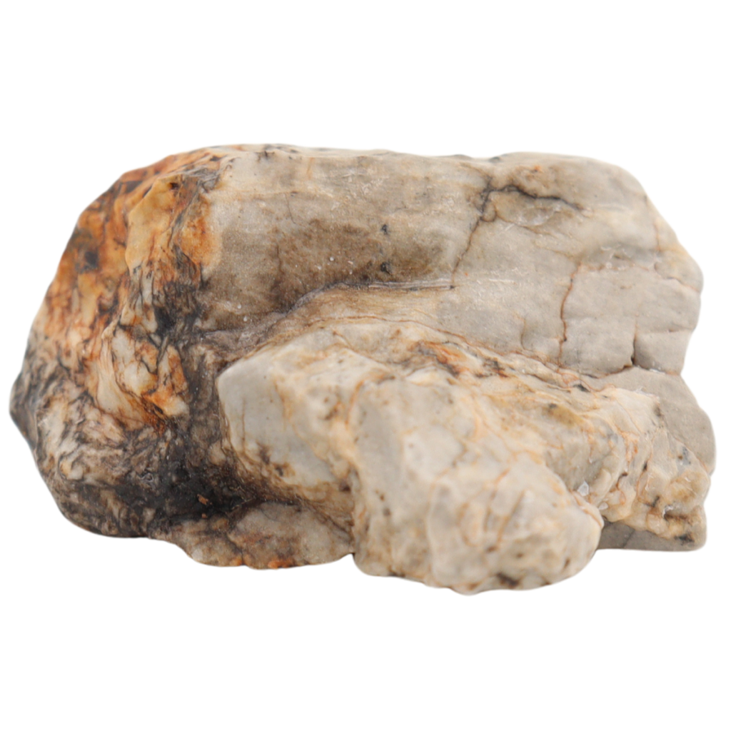 Djoua 001 Meteorite Aubrite Enstatite Achondrite (12.1 g). - MBS meteorite 