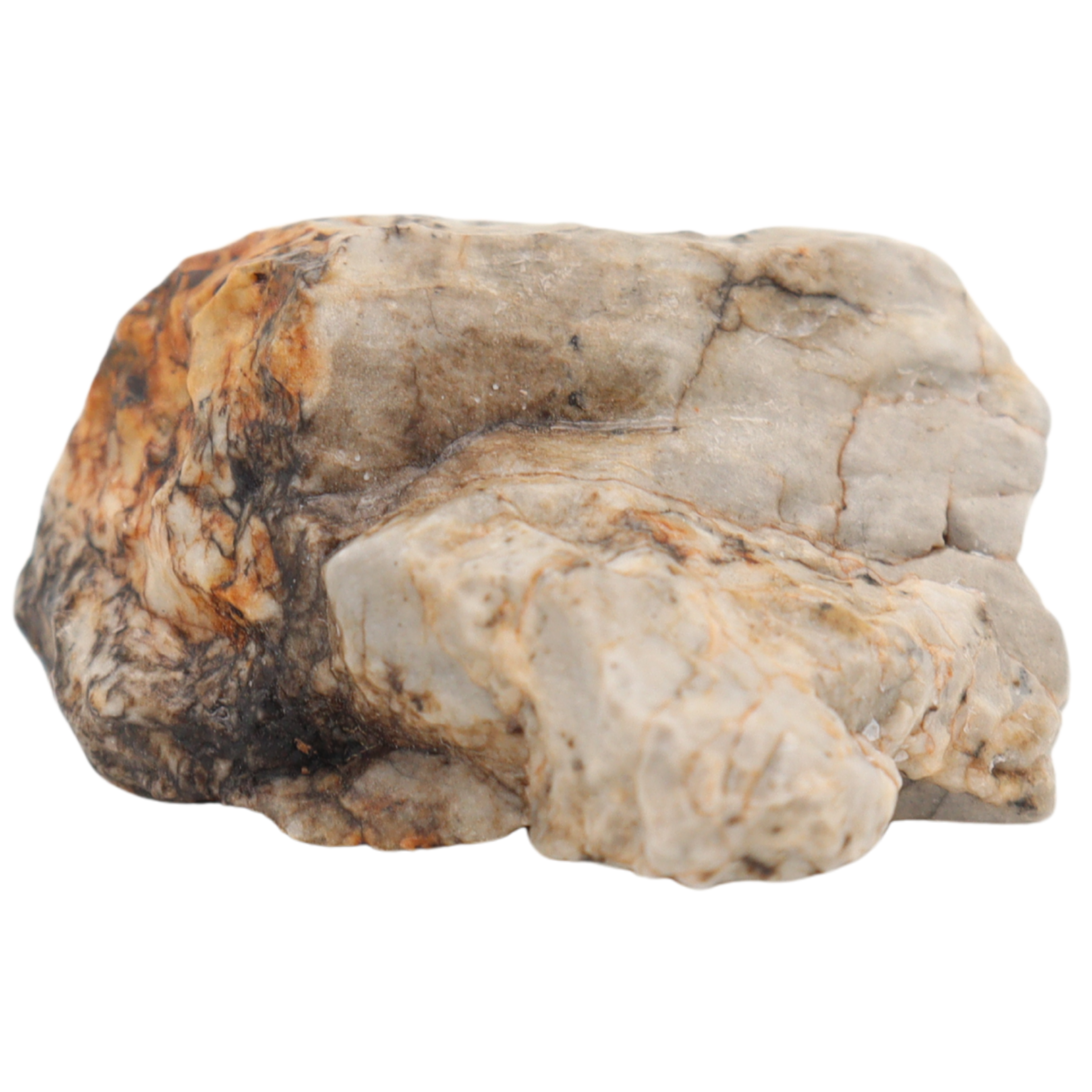 Djoua 001 Meteorite Aubrite Enstatite Achondrite (12.1 g). - MBS meteorite 