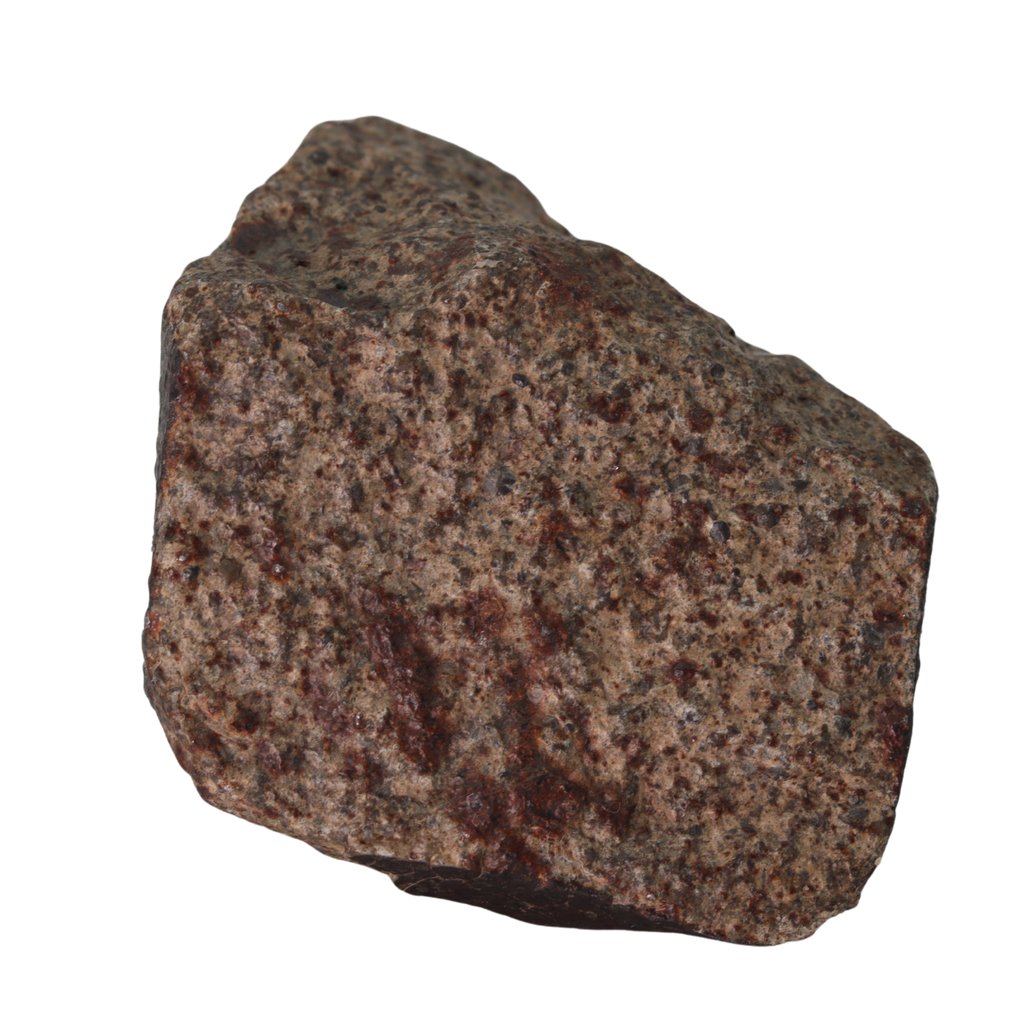 NWA 13281 Meteorite L5 Chondrite (165 g). - MBS meteorite 
