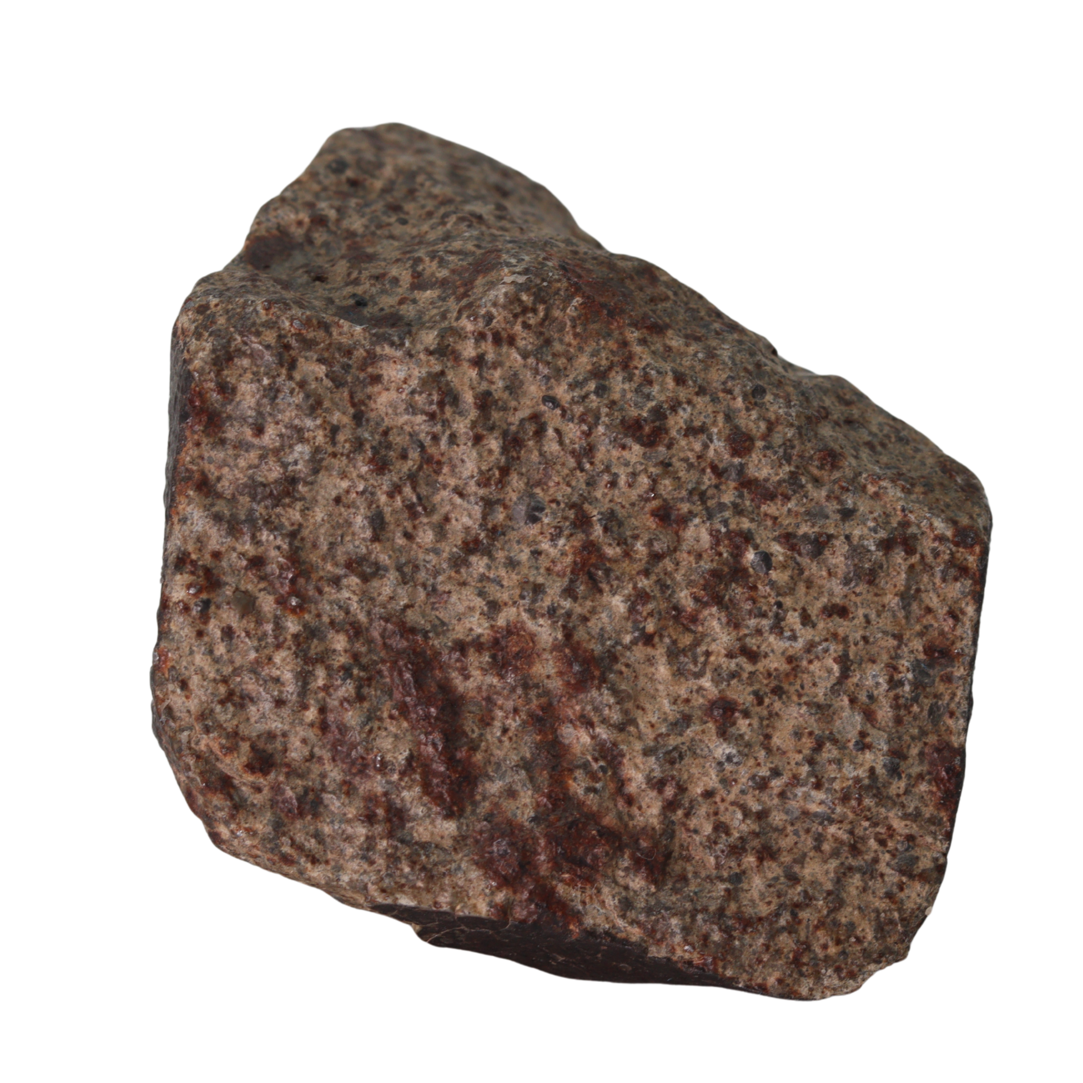 NWA 13281 Meteorite L5 Chondrite (165 g). - MBS meteorite 