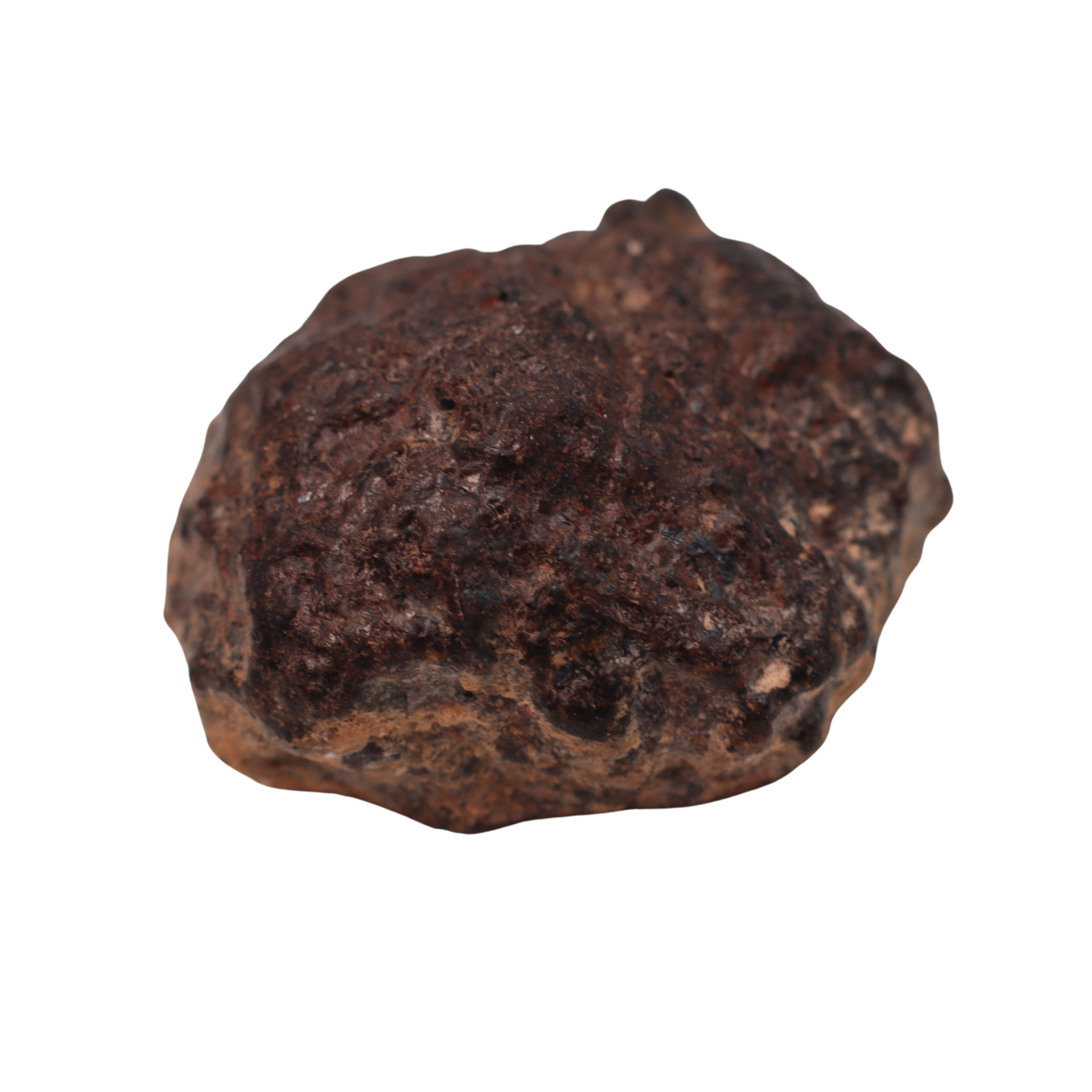 Rafsa 007 Meteorite Angrite Achondrite (6.3 g) - MBS meteorite 