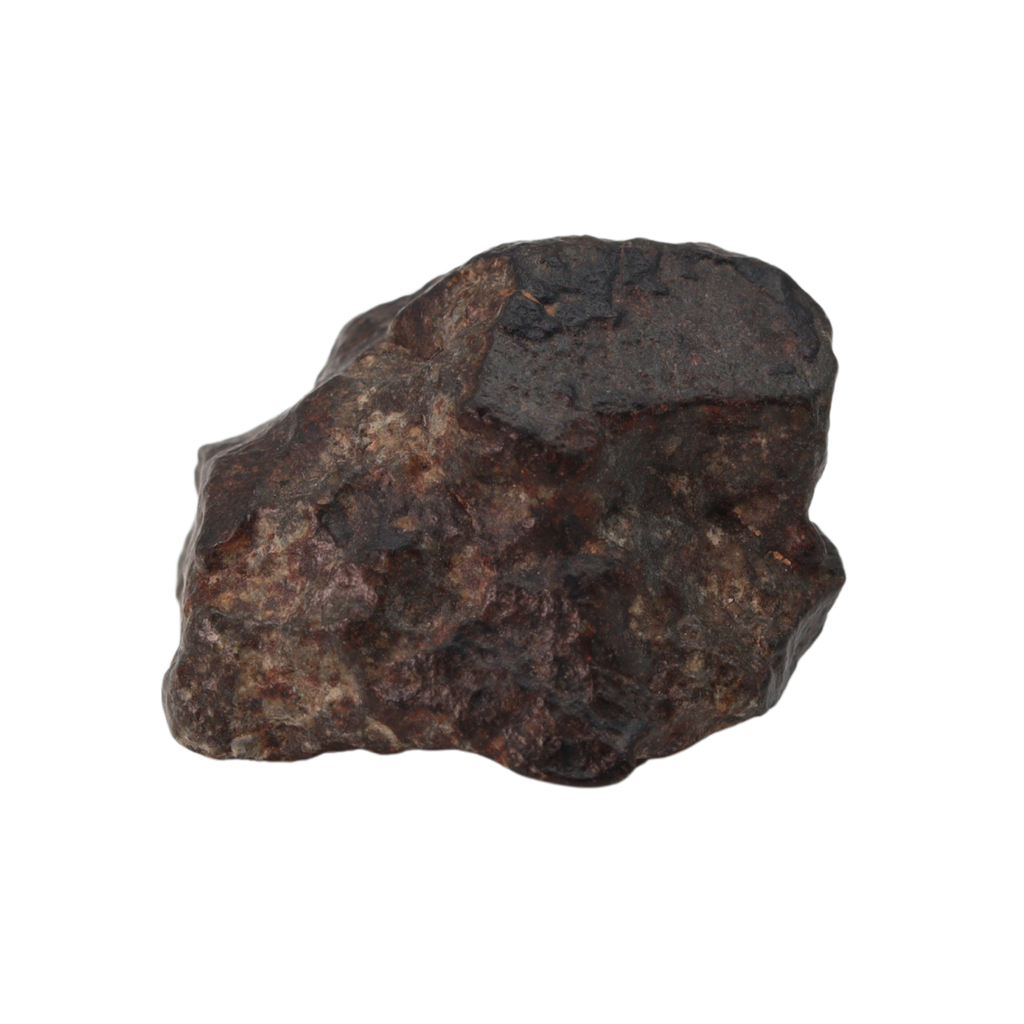 NWA 869 Meteorite Ordinary Chondrite Regolith Breccia (15.36 g) - MBS meteorite 
