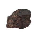 NWA 869 Meteorite Ordinary Chondrite Regolith Breccia (15.36 g) - MBS meteorite 