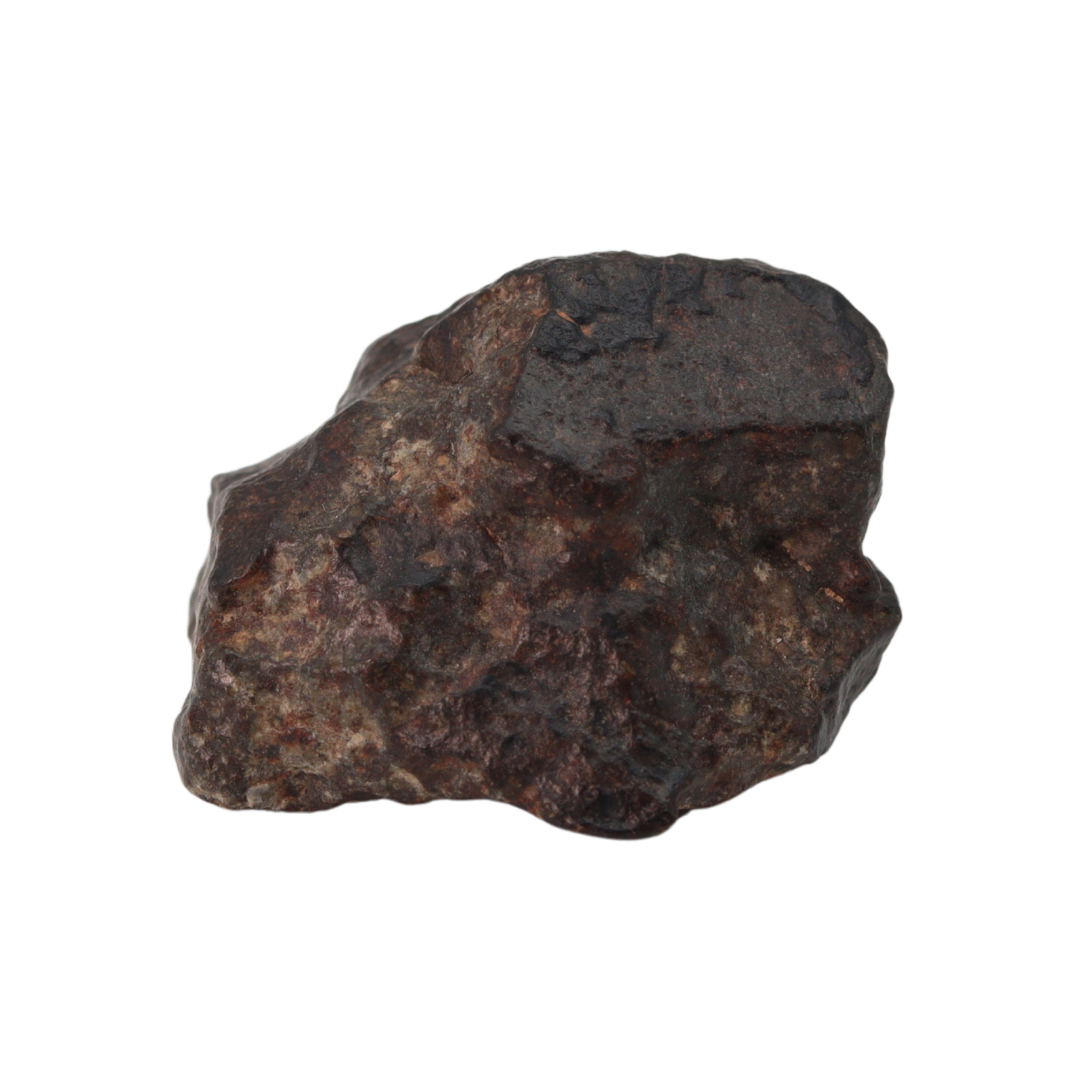 NWA 869 Meteorite Ordinary Chondrite Regolith Breccia (15.36 g) - MBS meteorite 