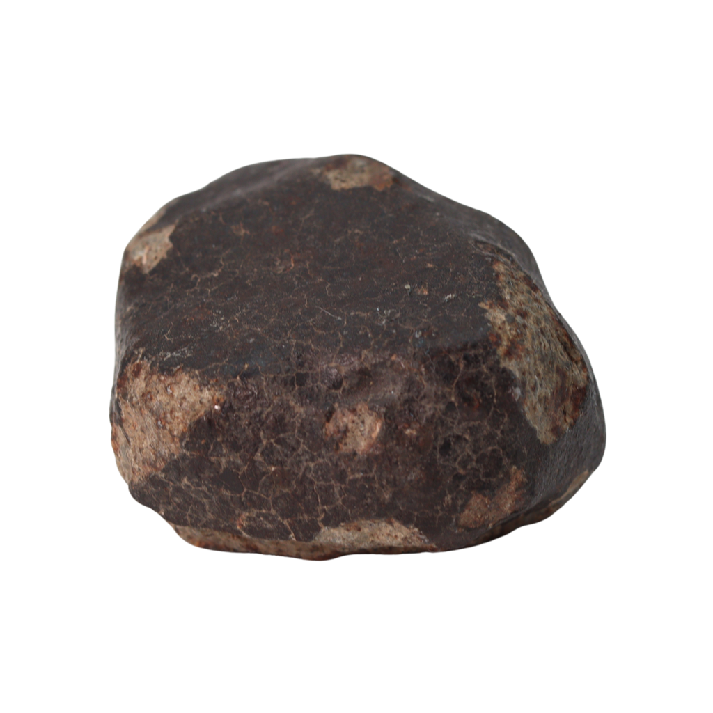 NWA 13281 Meteorite Ordinary Chondrite L5 (109 g) - MBS meteorite 