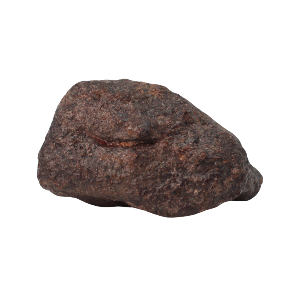 NWA 16208 Meteorite Winonaite Primitive Achondrite (5.7 g). - MBS meteorite 